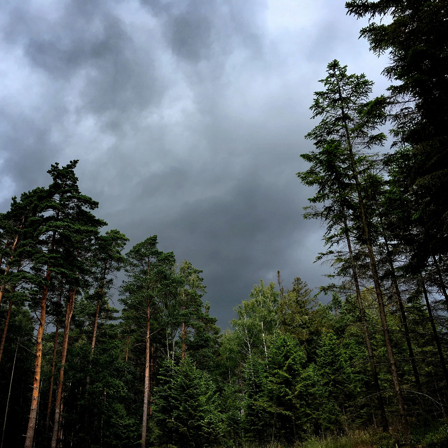 blogg-190701hallandsleden18.jpg