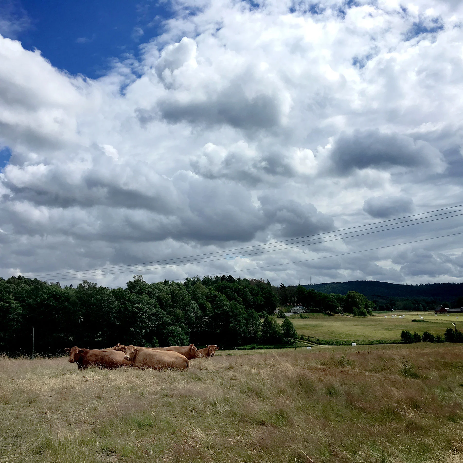 blogg-190701hallandsleden21.jpg