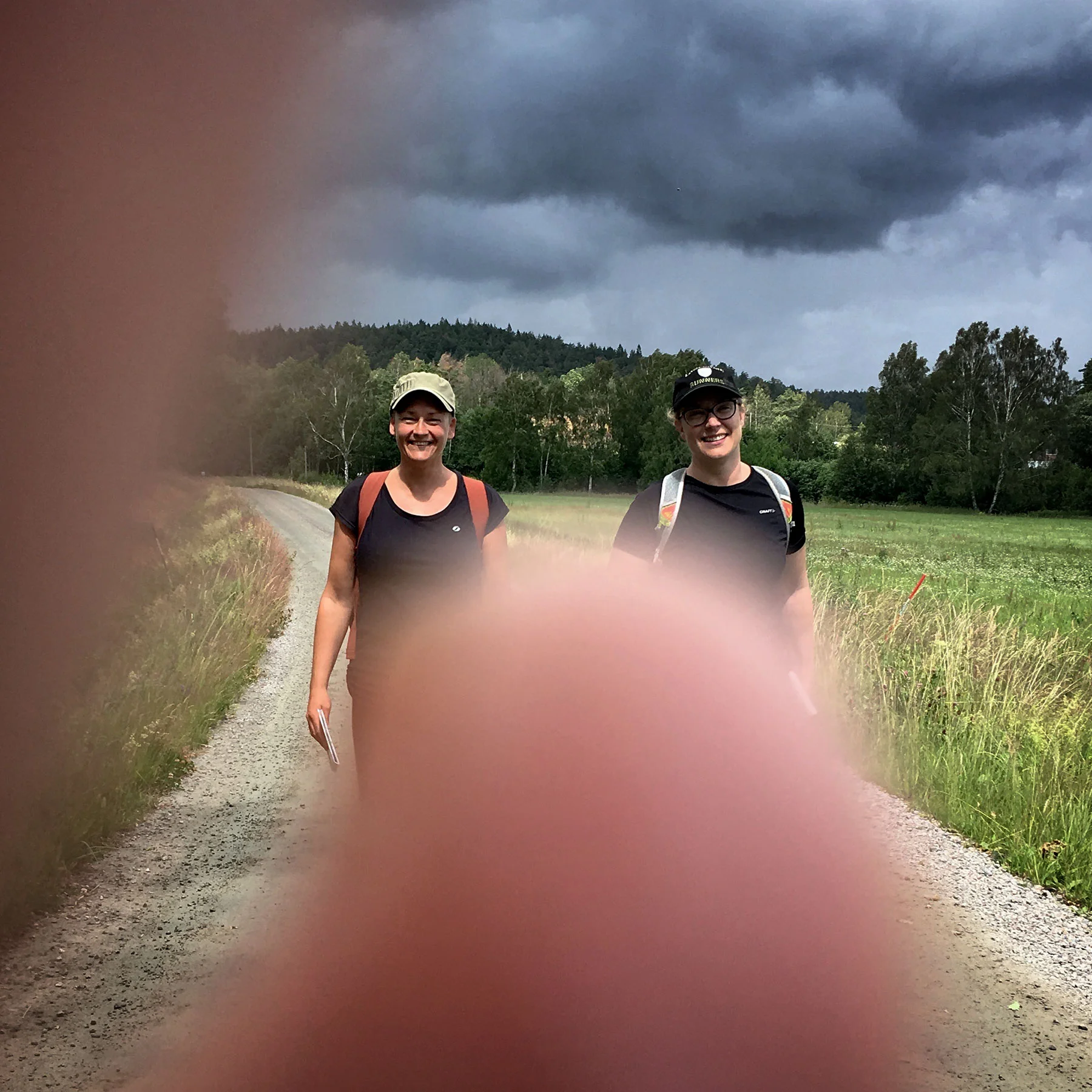 blogg-190701hallandsleden22.jpg