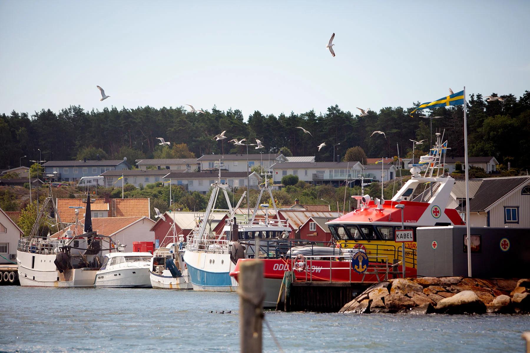 blogg-190709batdagmednordsvahns10.jpg
