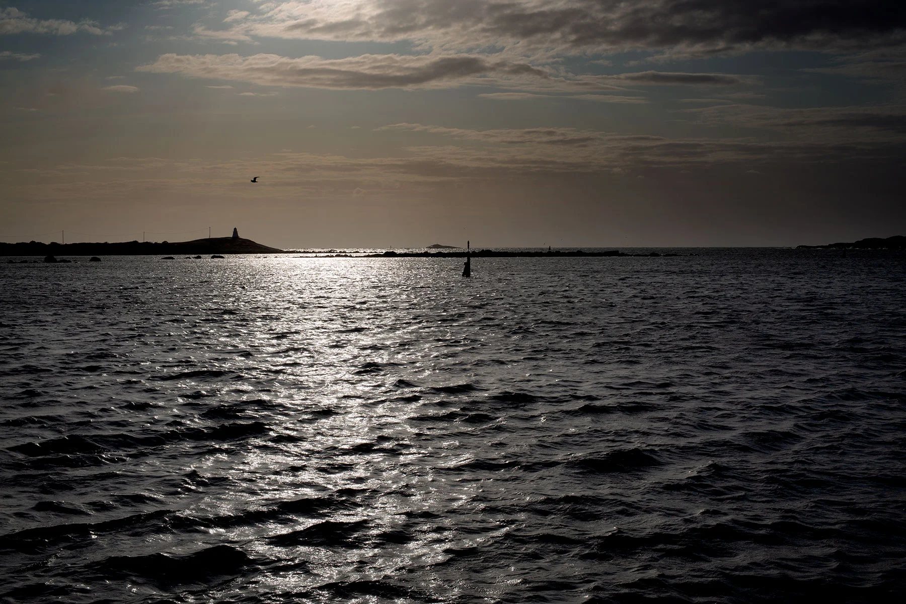 blogg-190811hamnen4.jpg