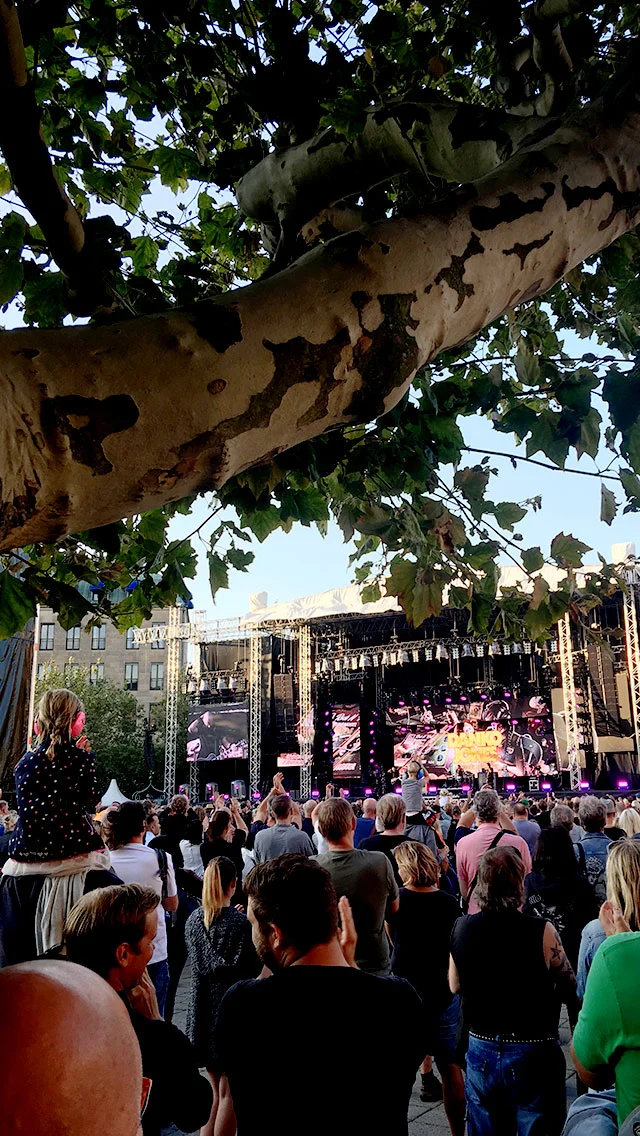 blogg-190812malmofestivalen17.jpg