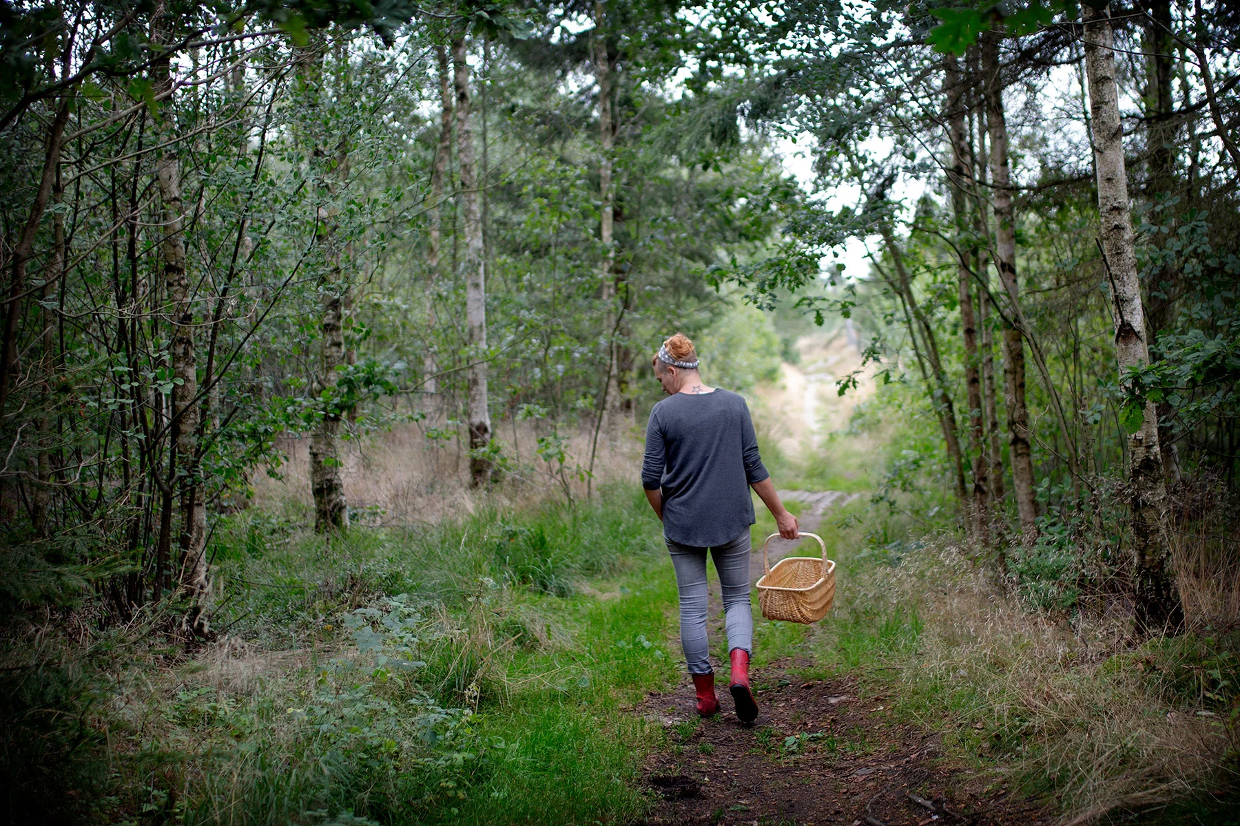 blogg-190822svampskog8.jpg