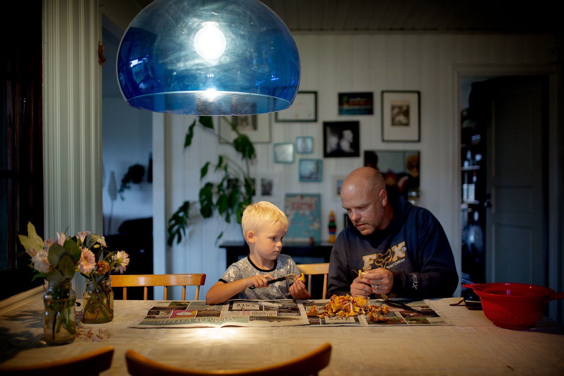 blogg-190822svampskog15.jpg