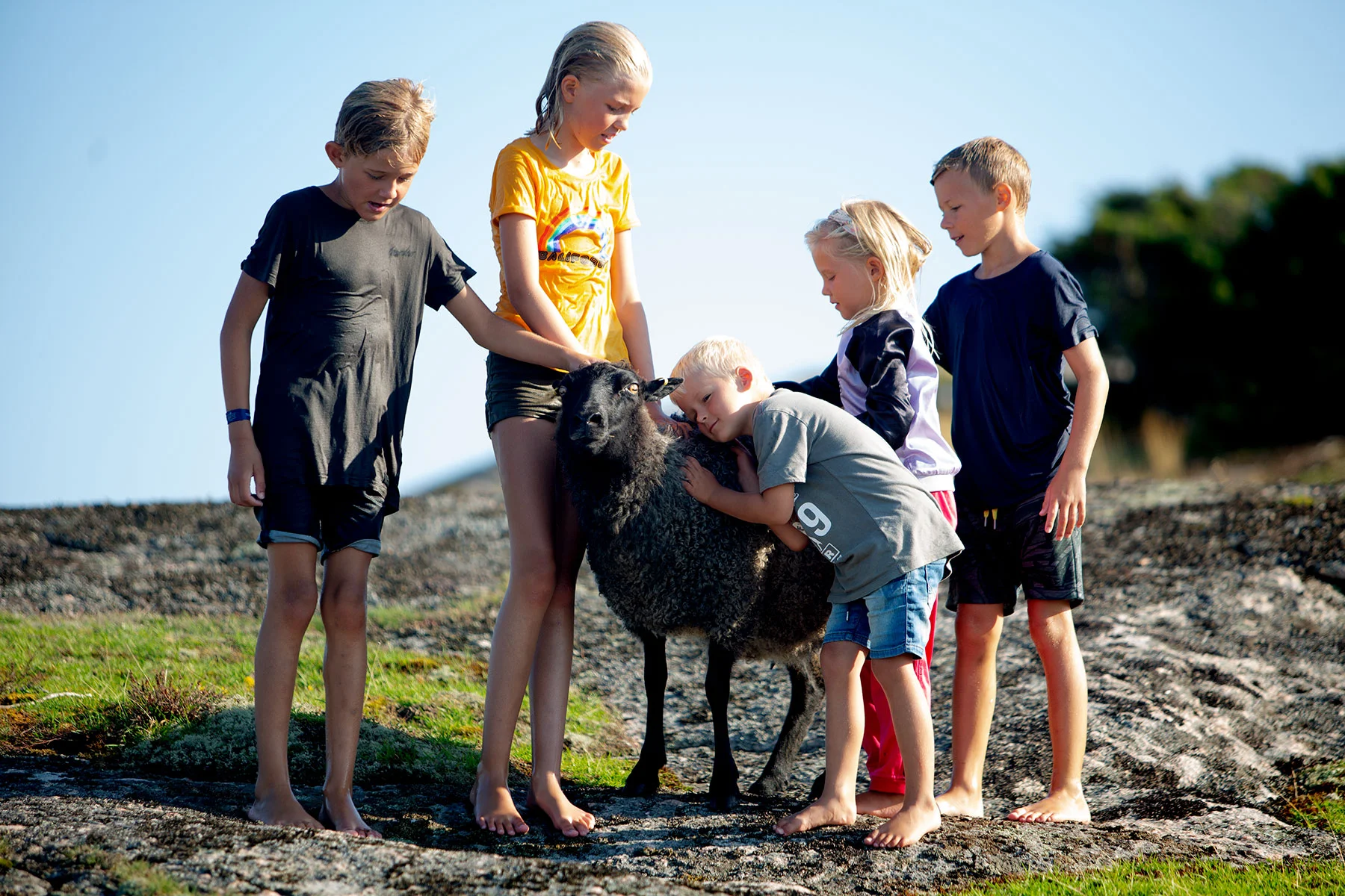 blogg-190825nordsteneftermiddag22.jpg
