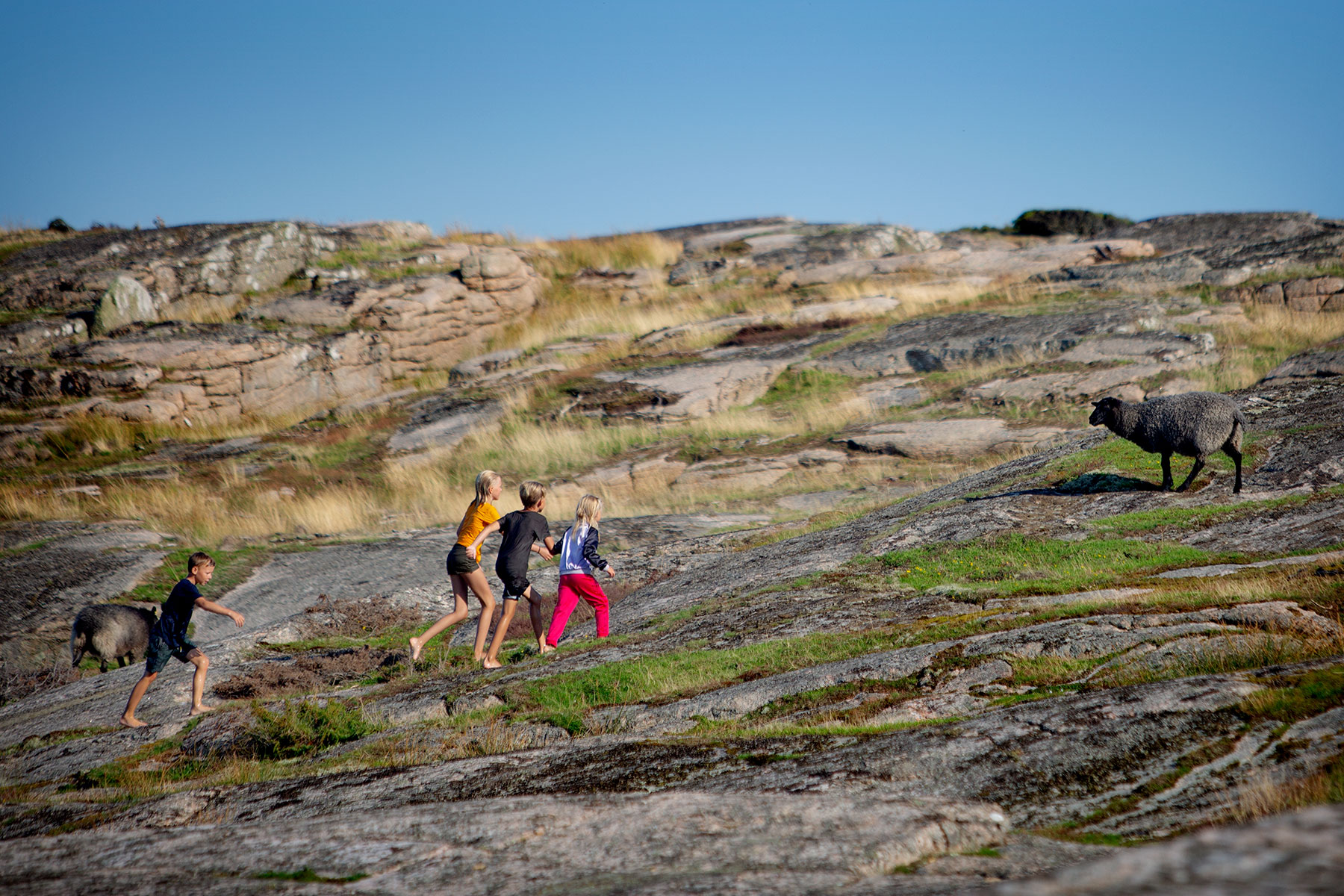 blogg-190825nordsteneftermiddag21.jpg