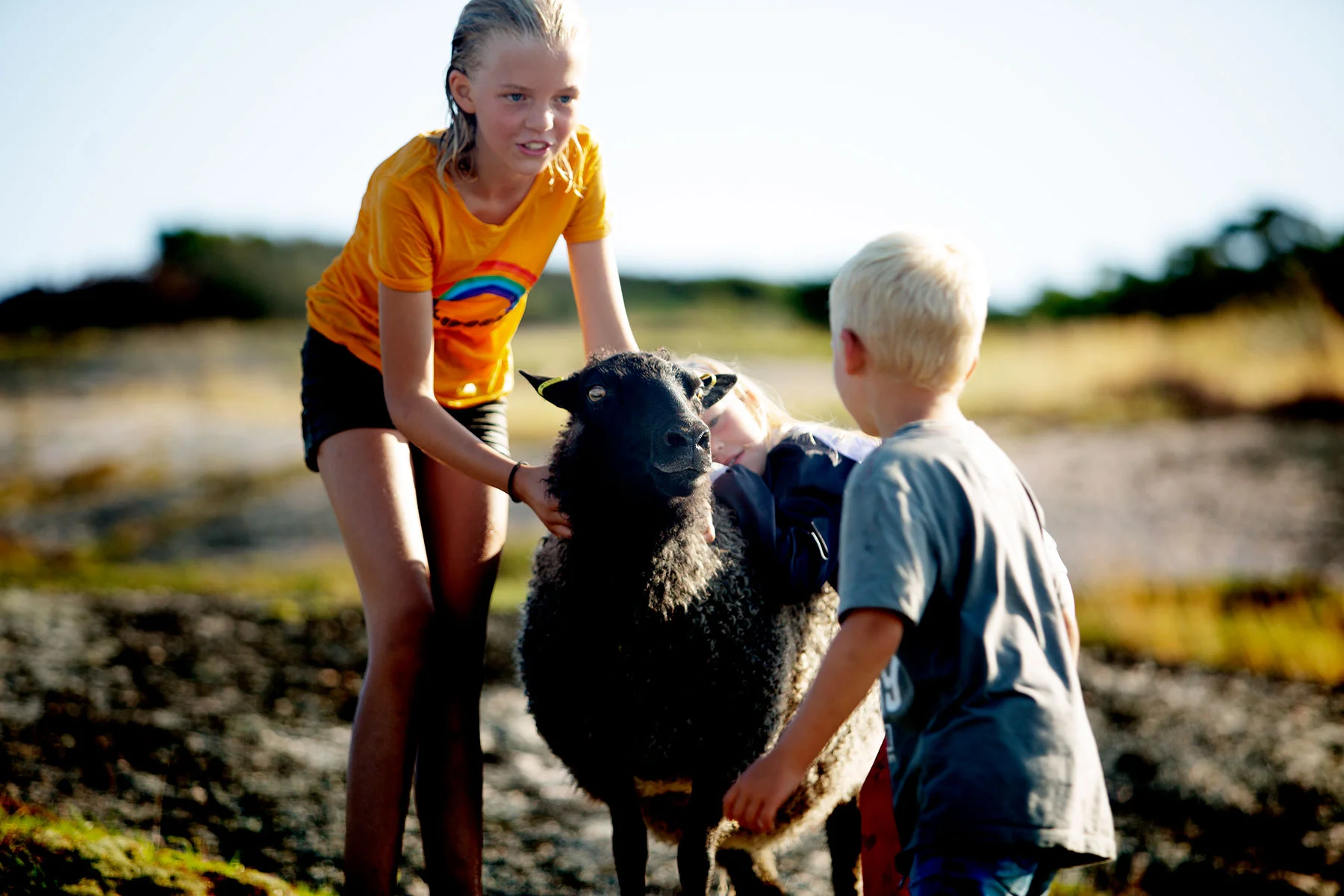 blogg-190825nordsteneftermiddag24.jpg