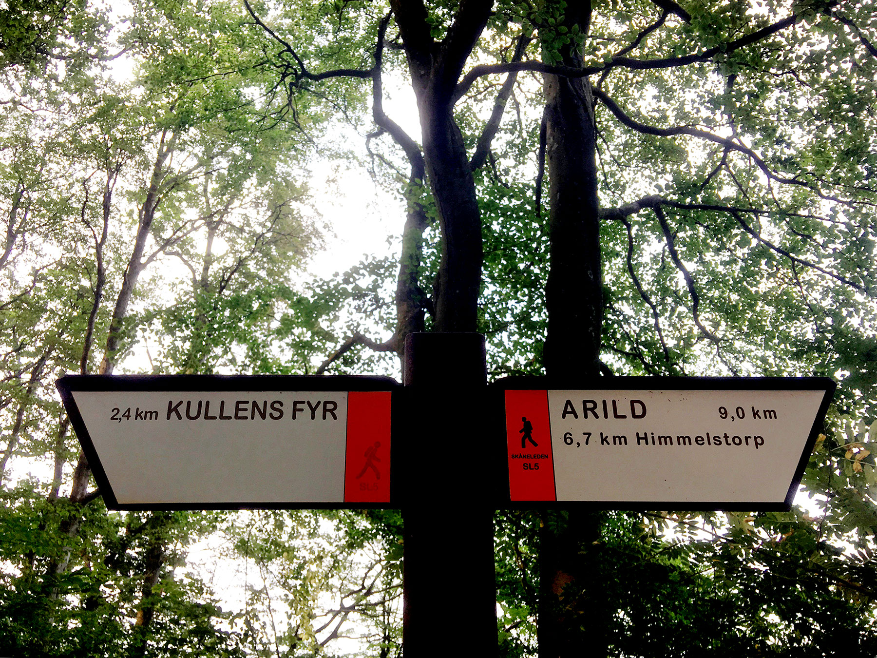 blogg-190827kullenvandring23.jpg