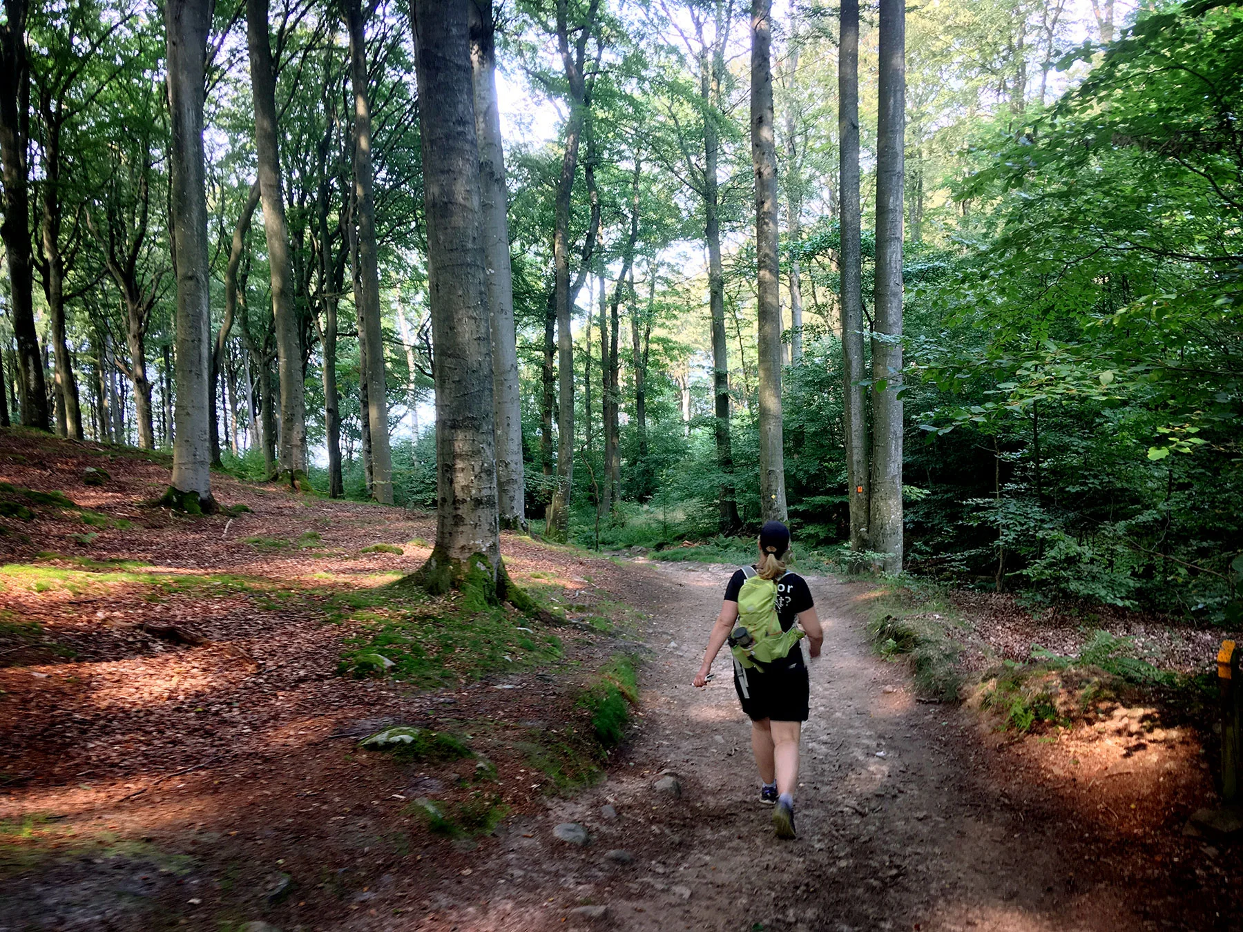blogg-190827kullenvandring24.jpg