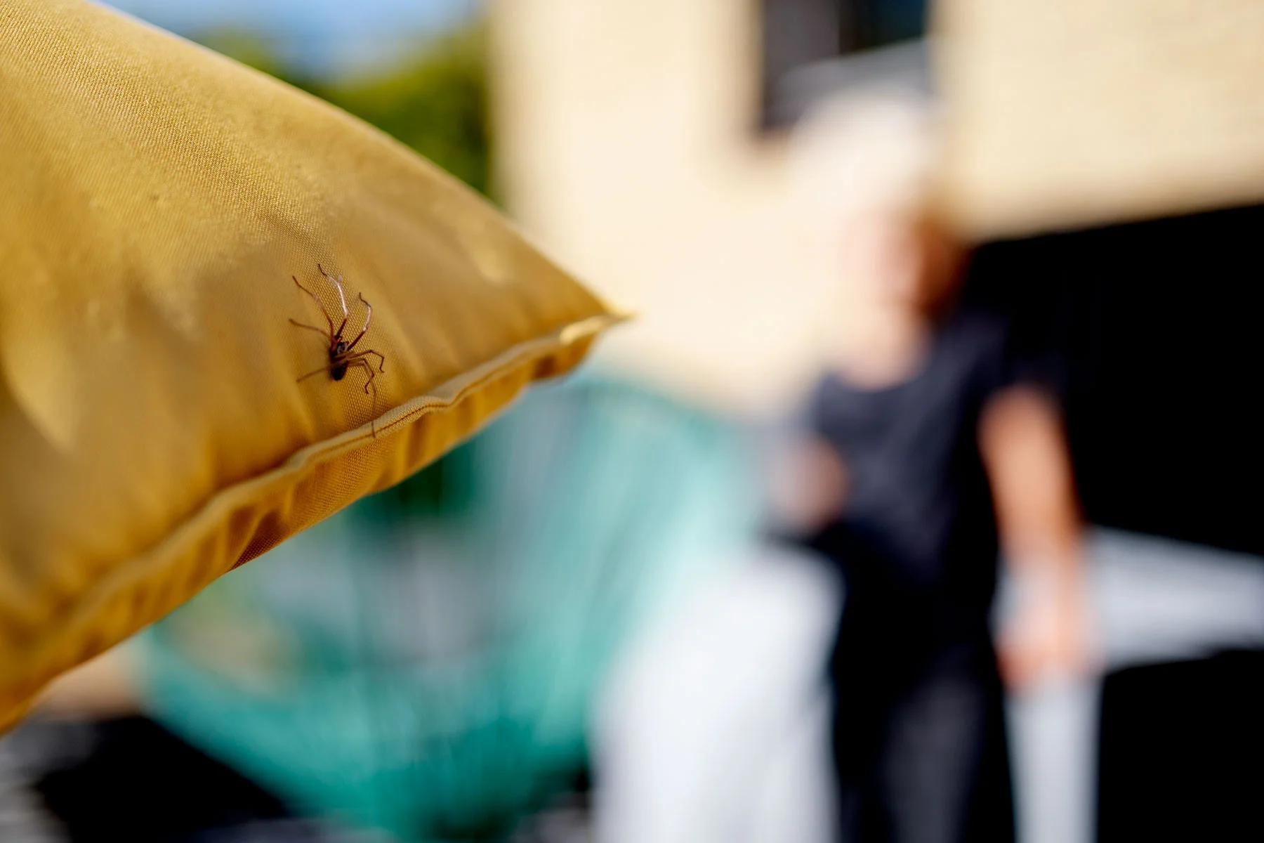 blogg-190808sommarfrukost2.jpg