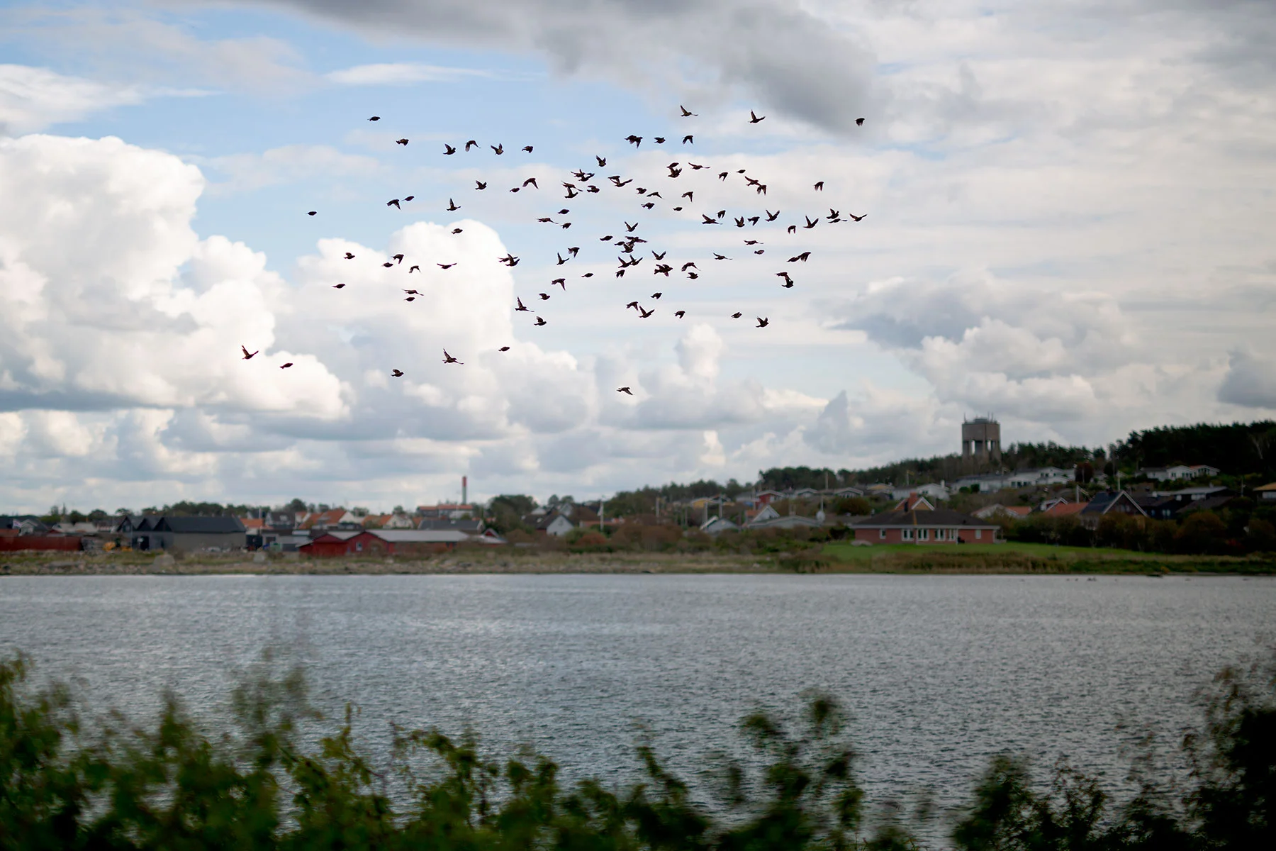 blogg-190808fyrenpromenad33.jpg