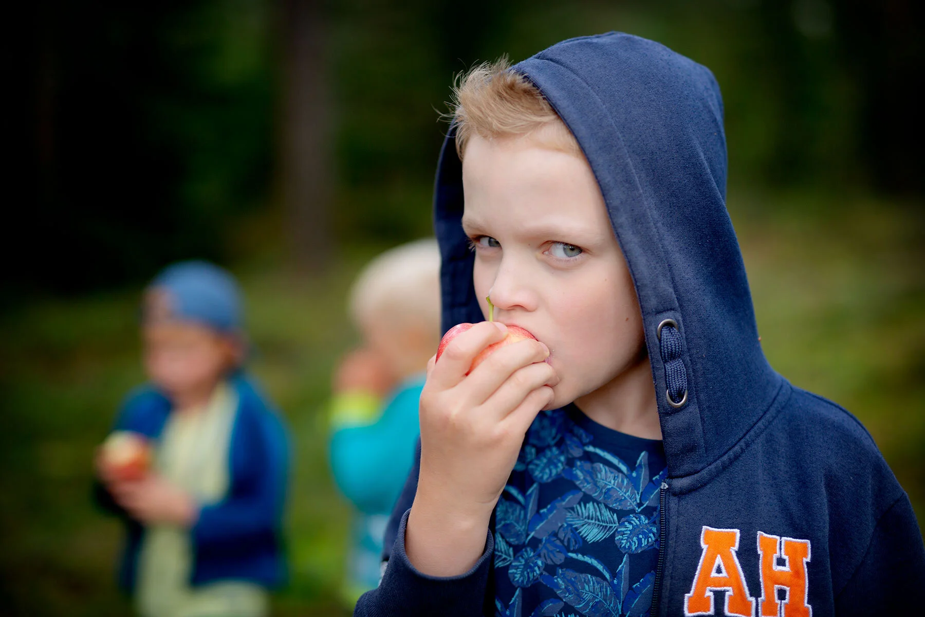 blogg-190914svampskoglindome40.jpg
