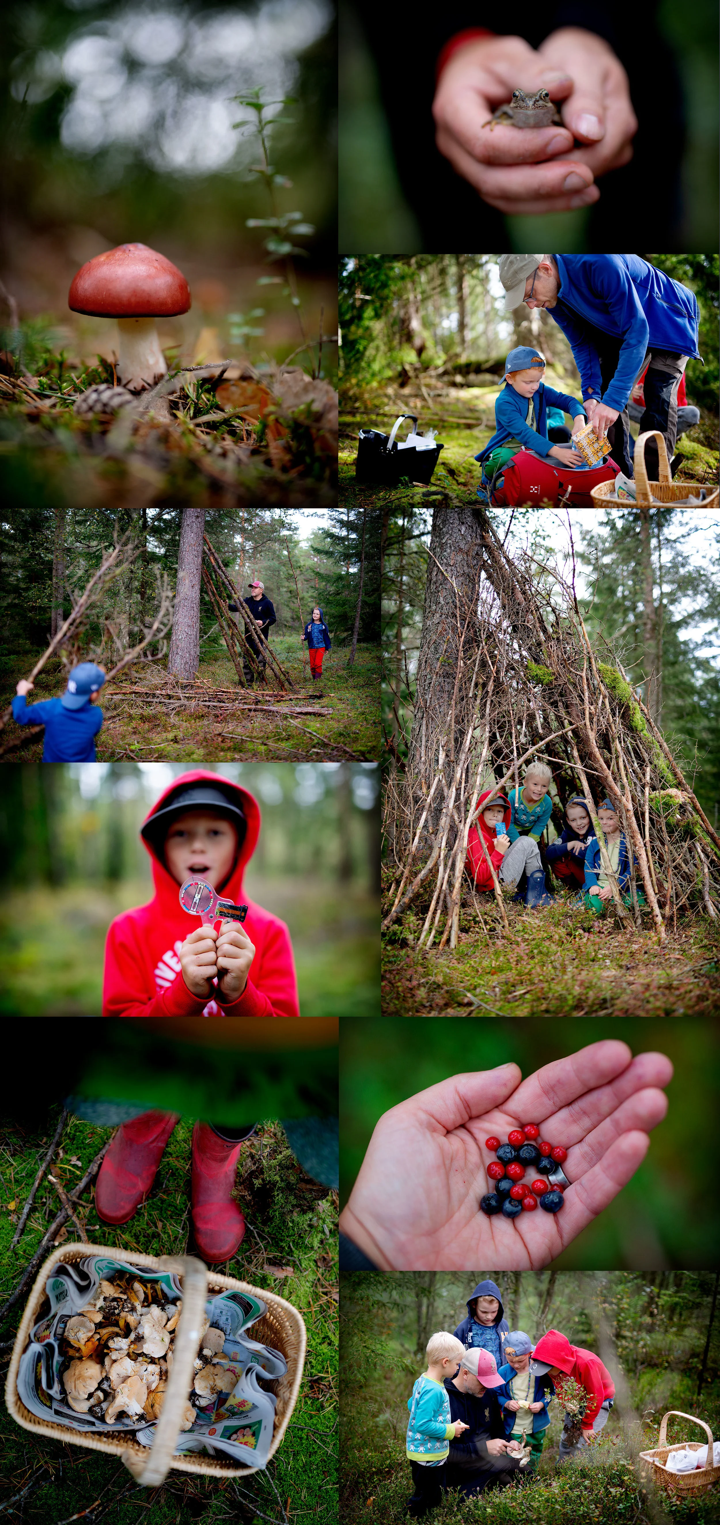 En korg frisk luft.