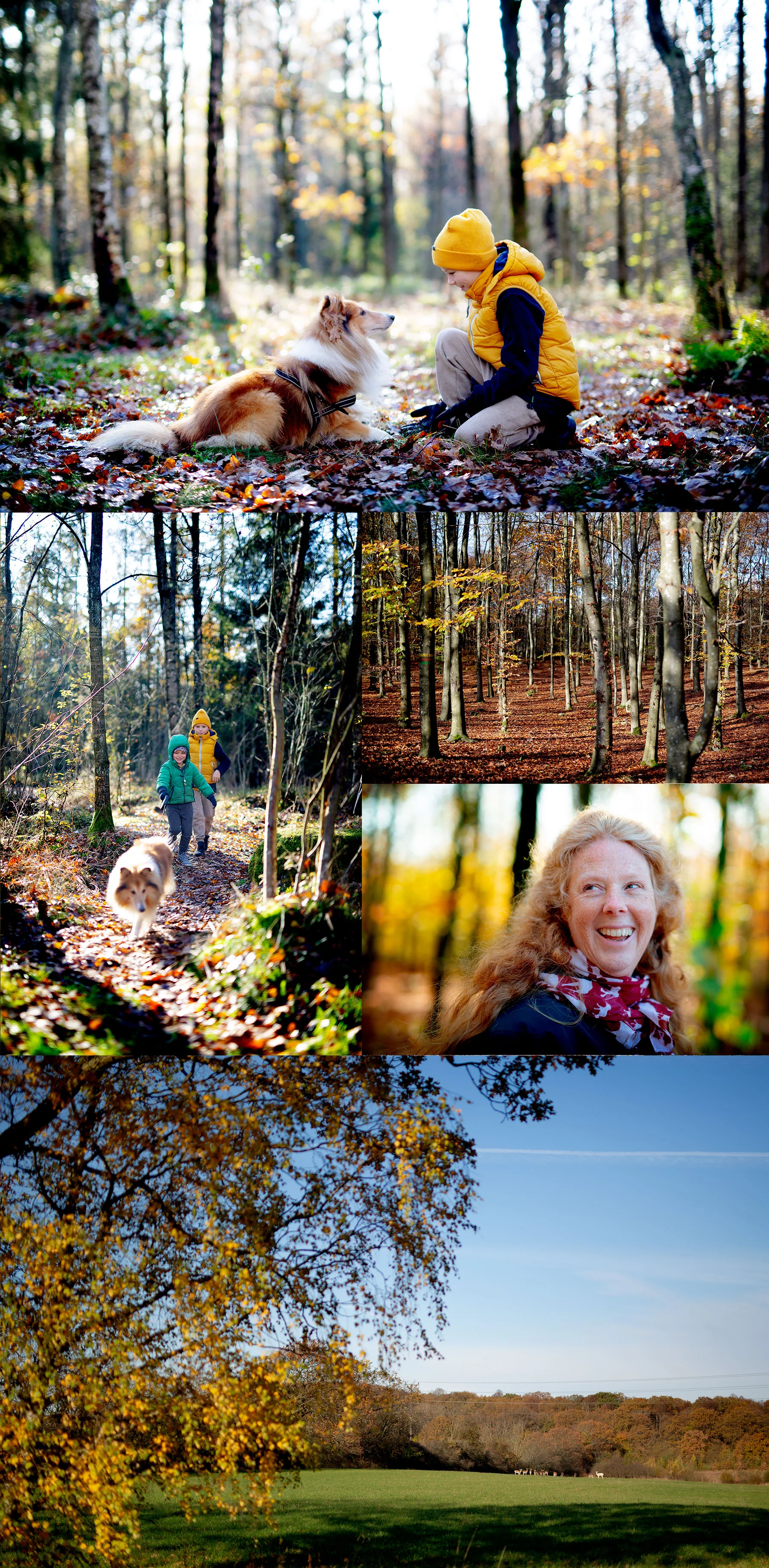 Åsa, Balder och Skrylleskogen