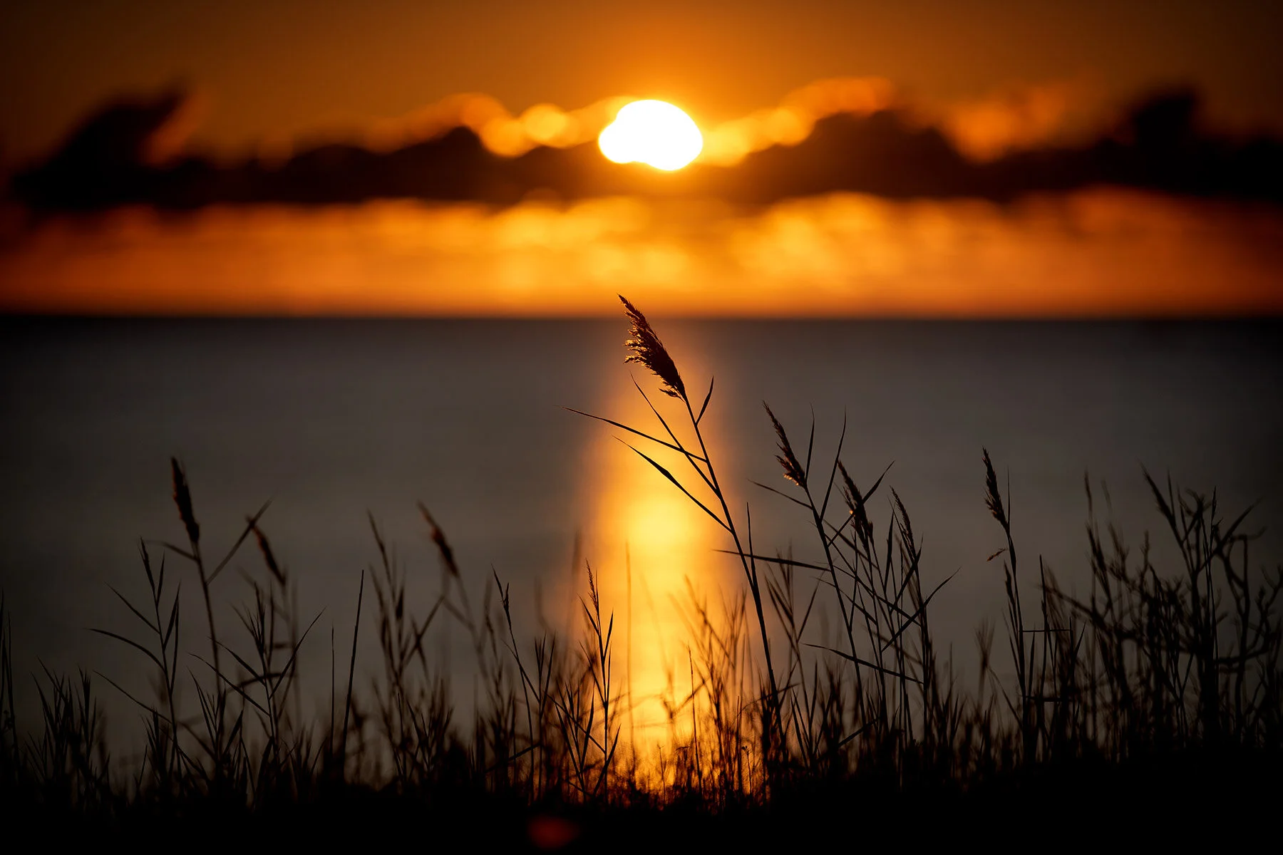 blogg-191202sunnerstranna2.jpg