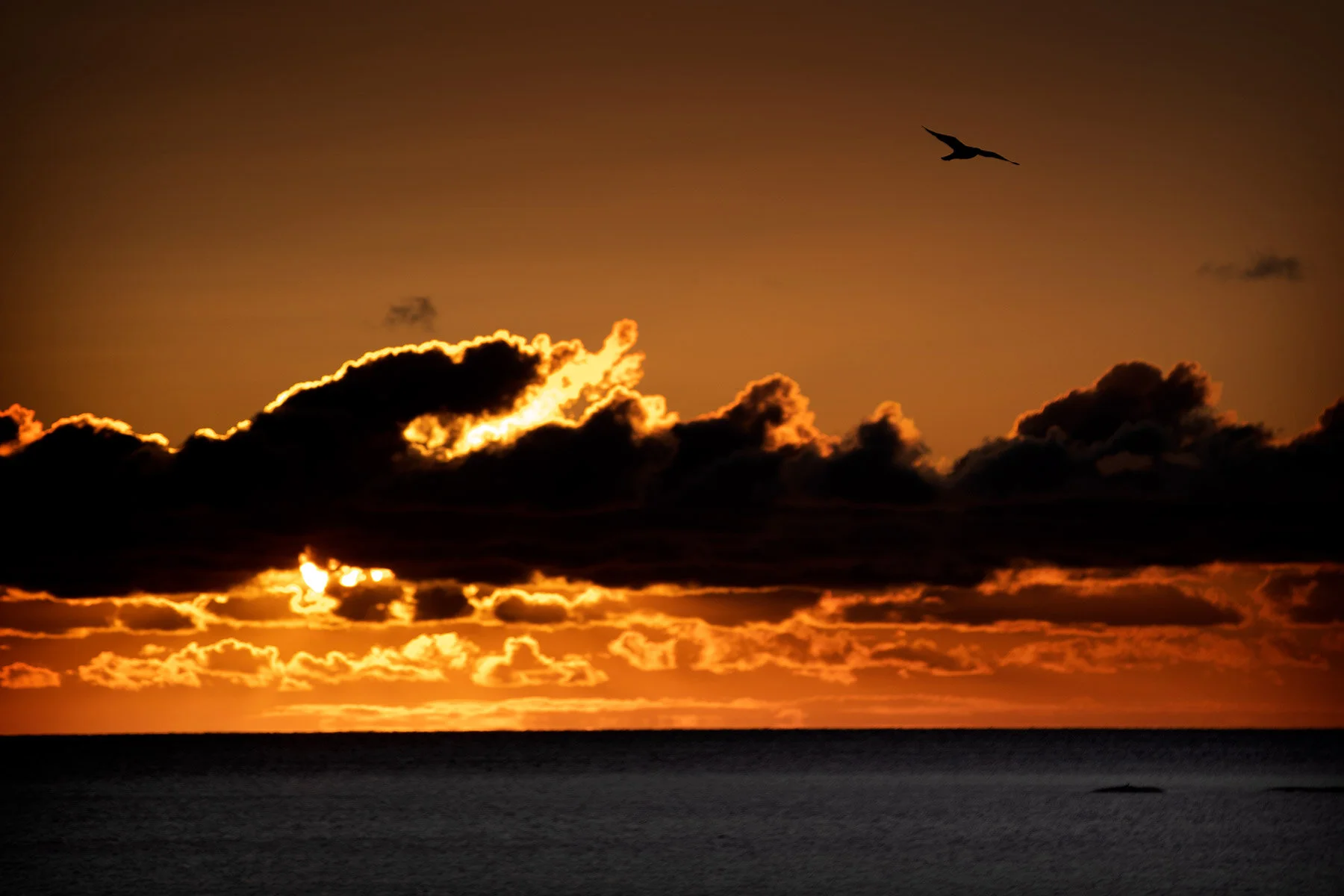 blogg-191202sunnerstranna5.jpg