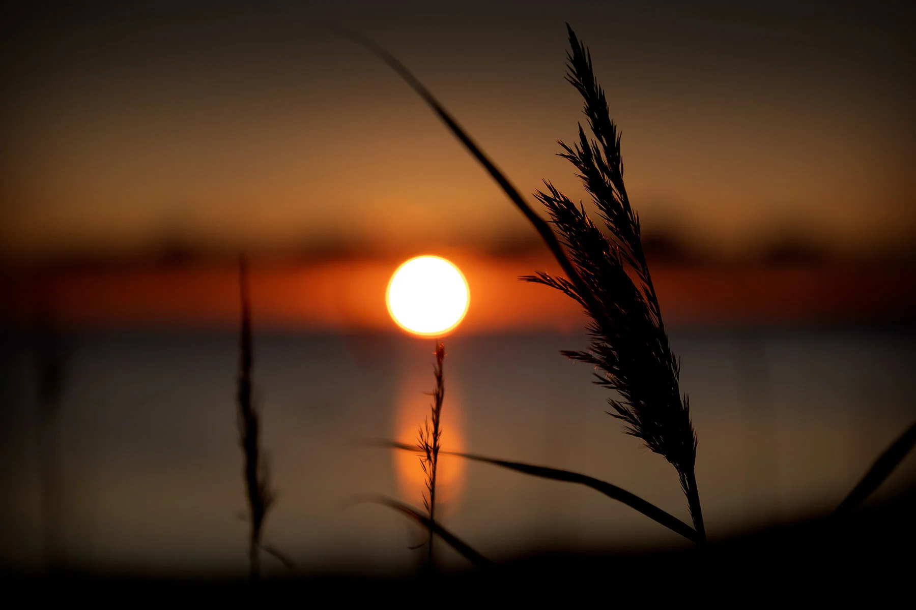 blogg-191202sunnerstranna11.jpg