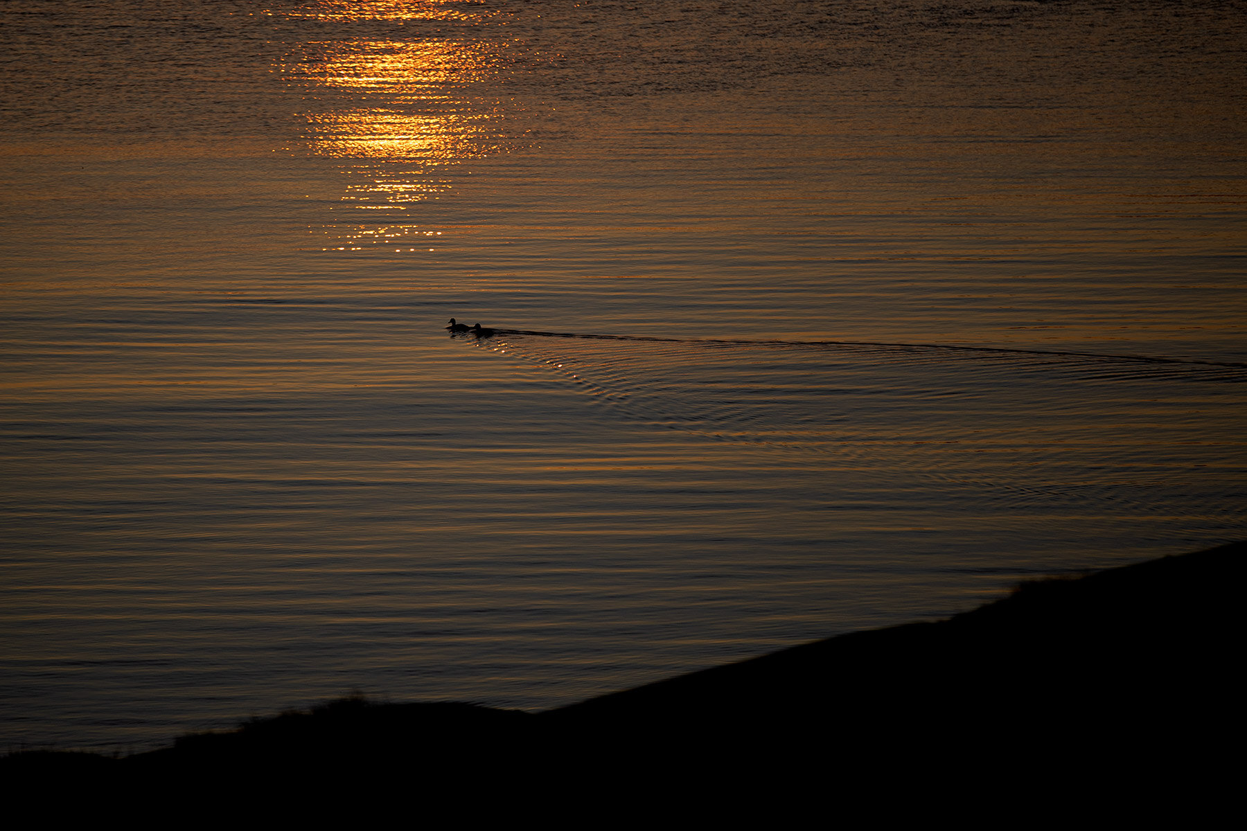 blogg-191202sunnerstranna9.jpg