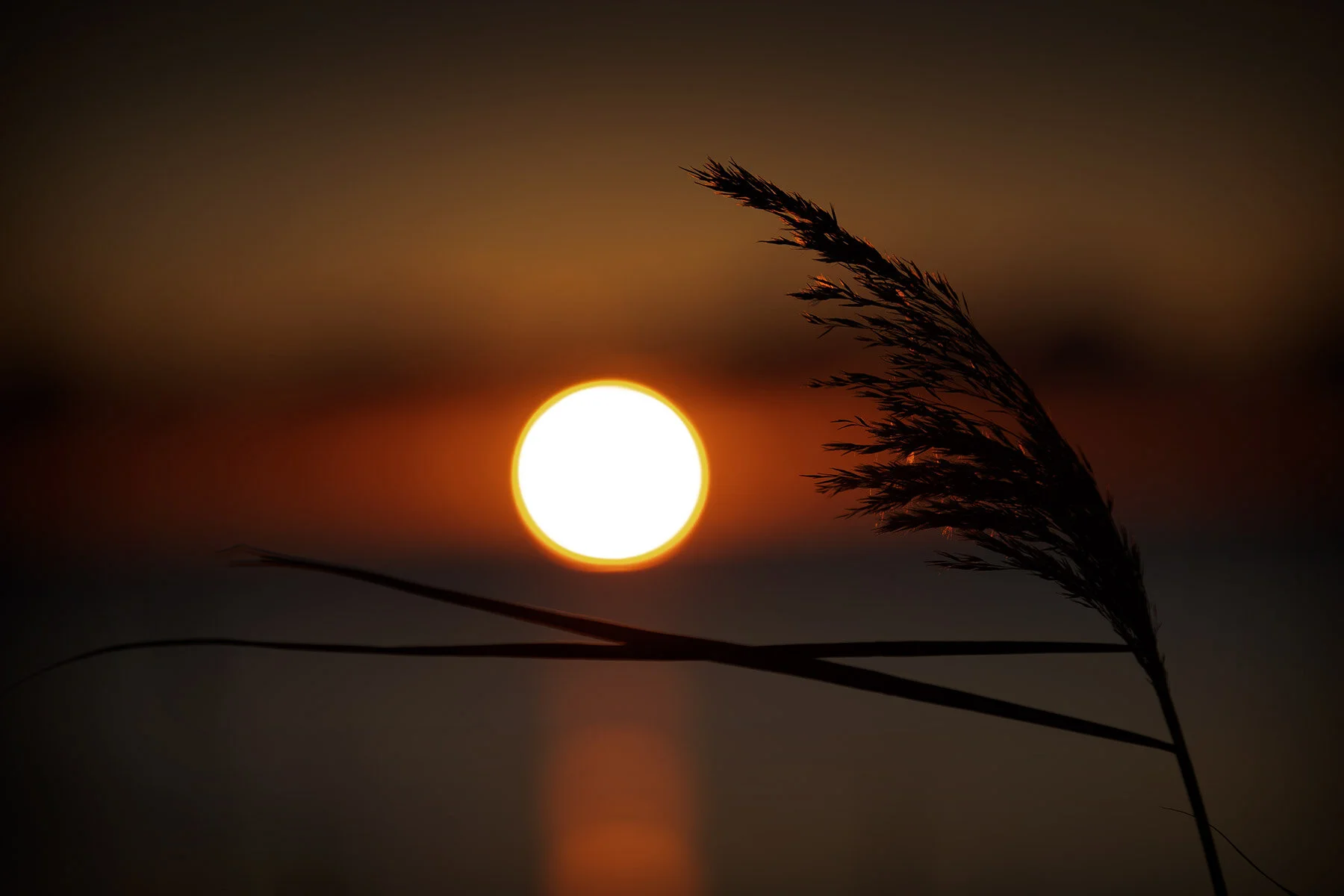 blogg-191202sunnerstranna15.jpg