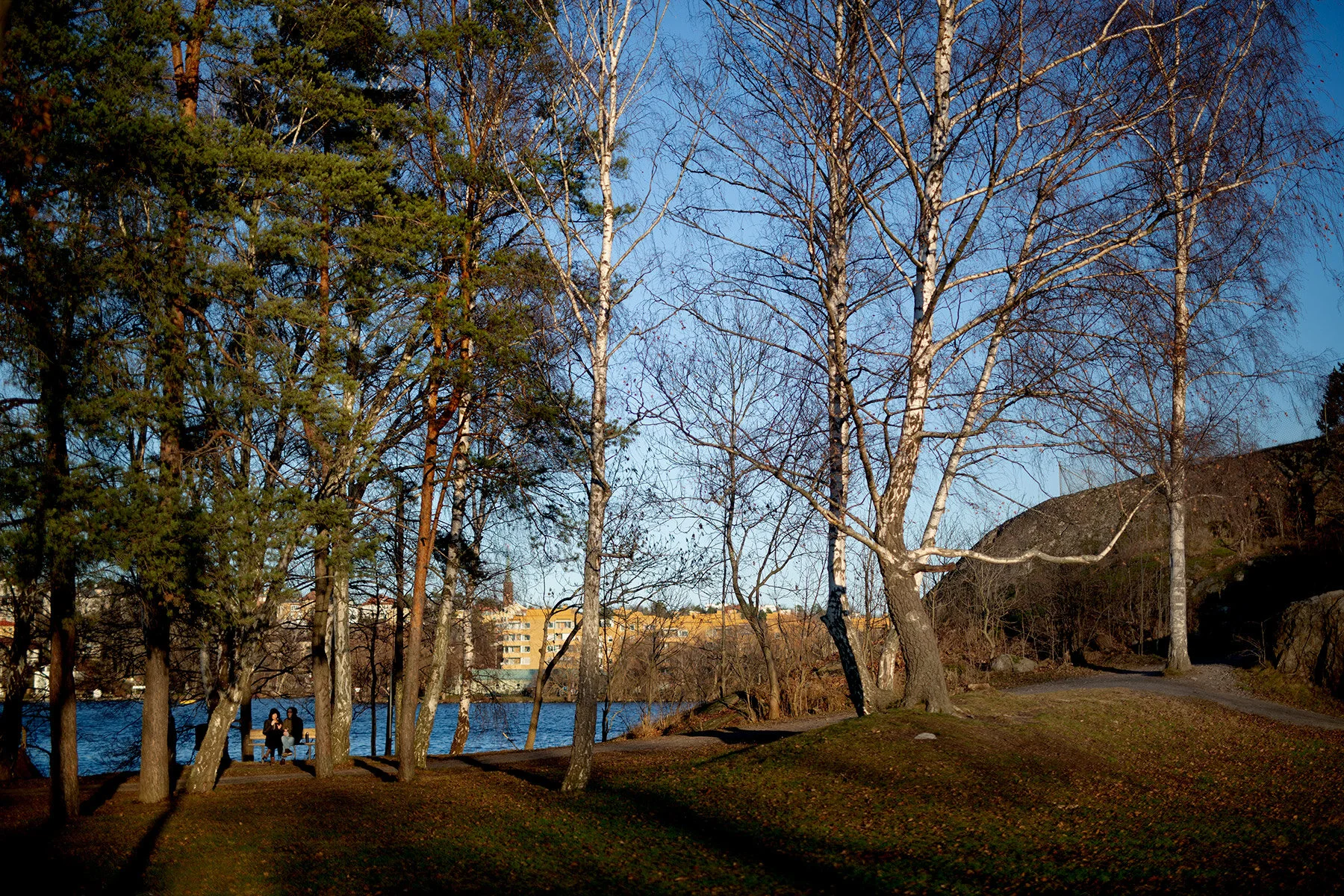 blogg-191231vinterviken16.jpg