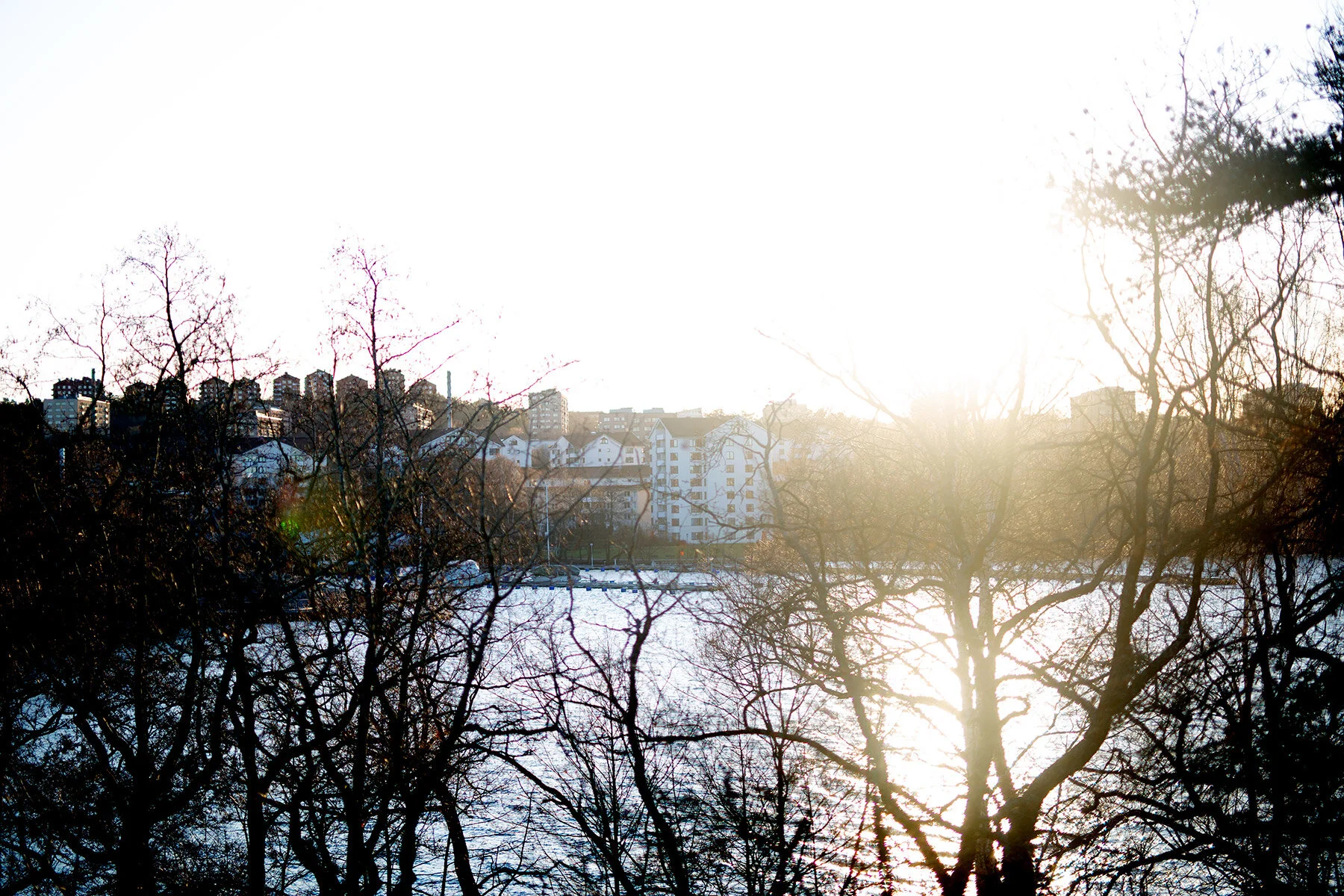 blogg-191231vinterviken19.jpg