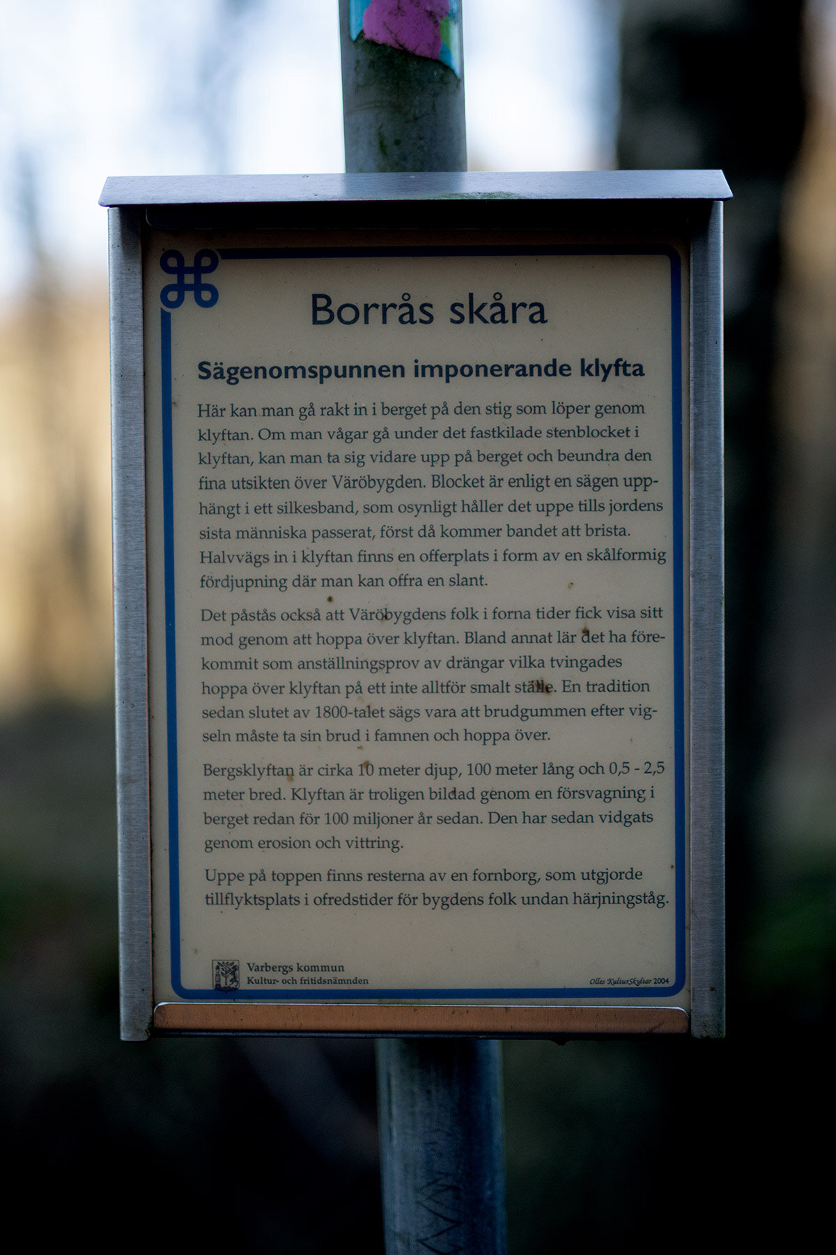 blogg-200122borrasskara2.jpg