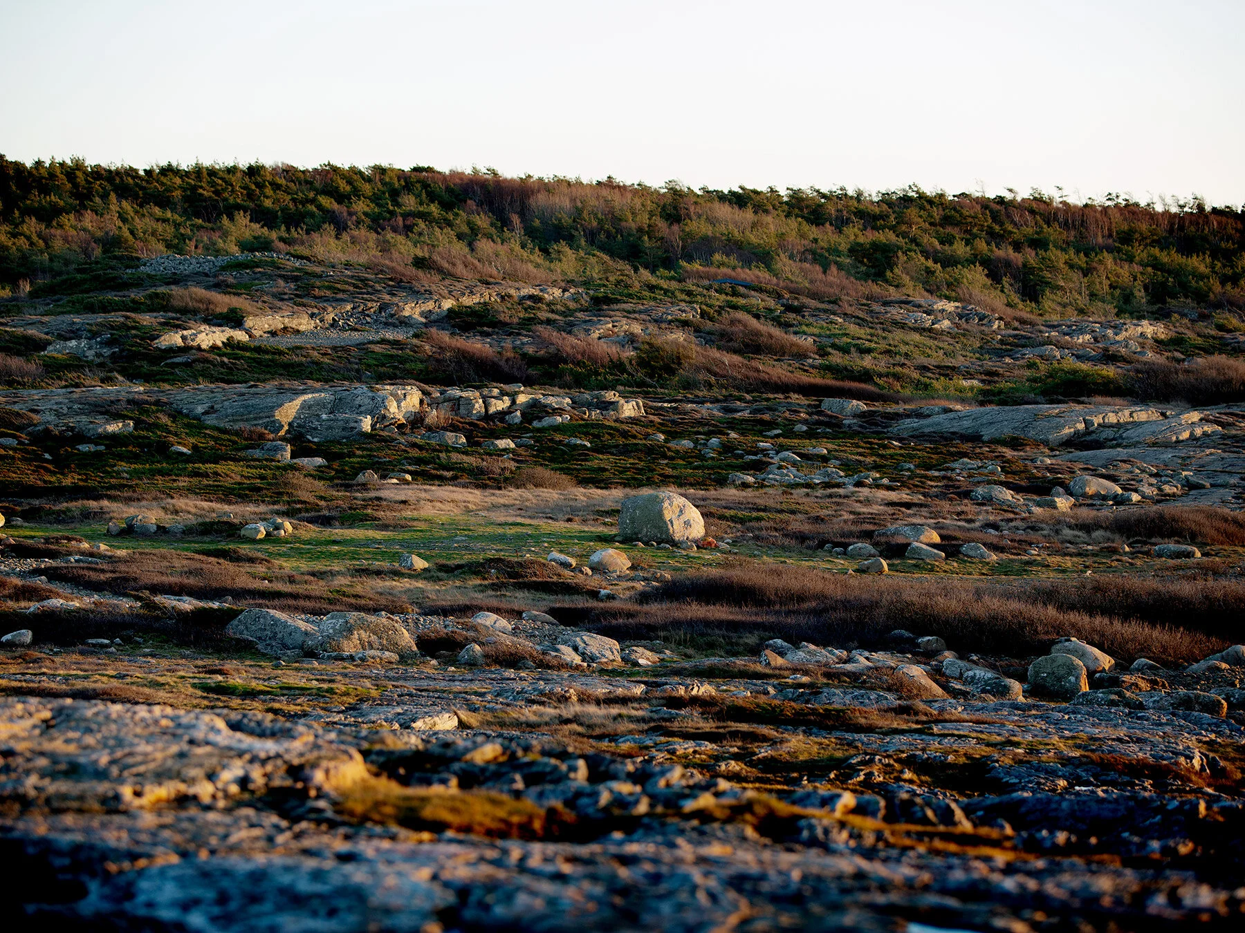 blogg-200122fyrenpromenad11.jpg