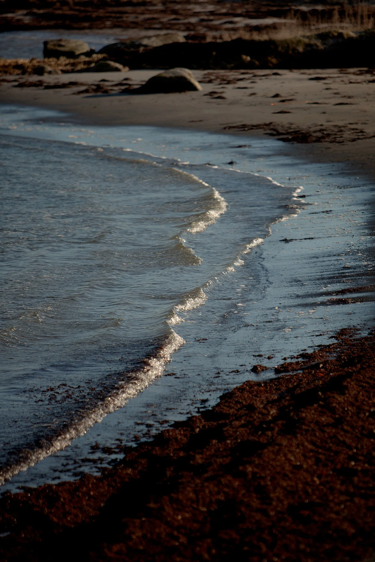 blogg-200213blapromenadenbua4.jpg