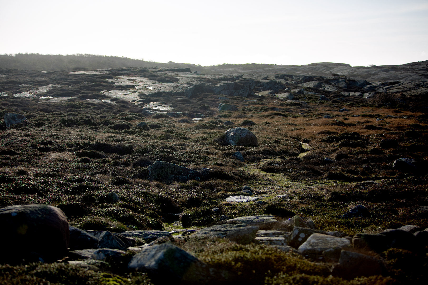 blogg-200213blapromenadenbua12.jpg
