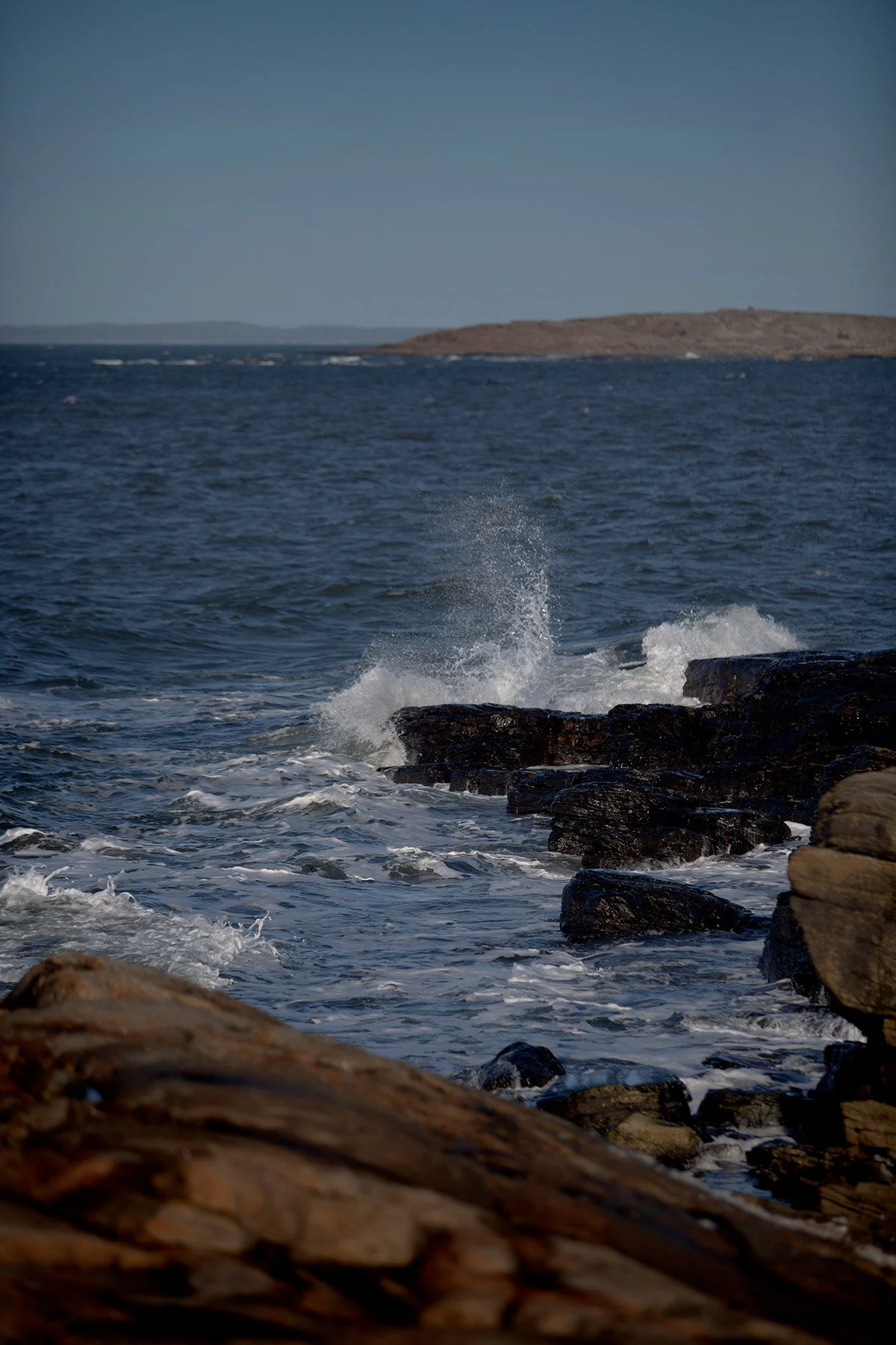 blogg-200213blapromenadenbua15.jpg