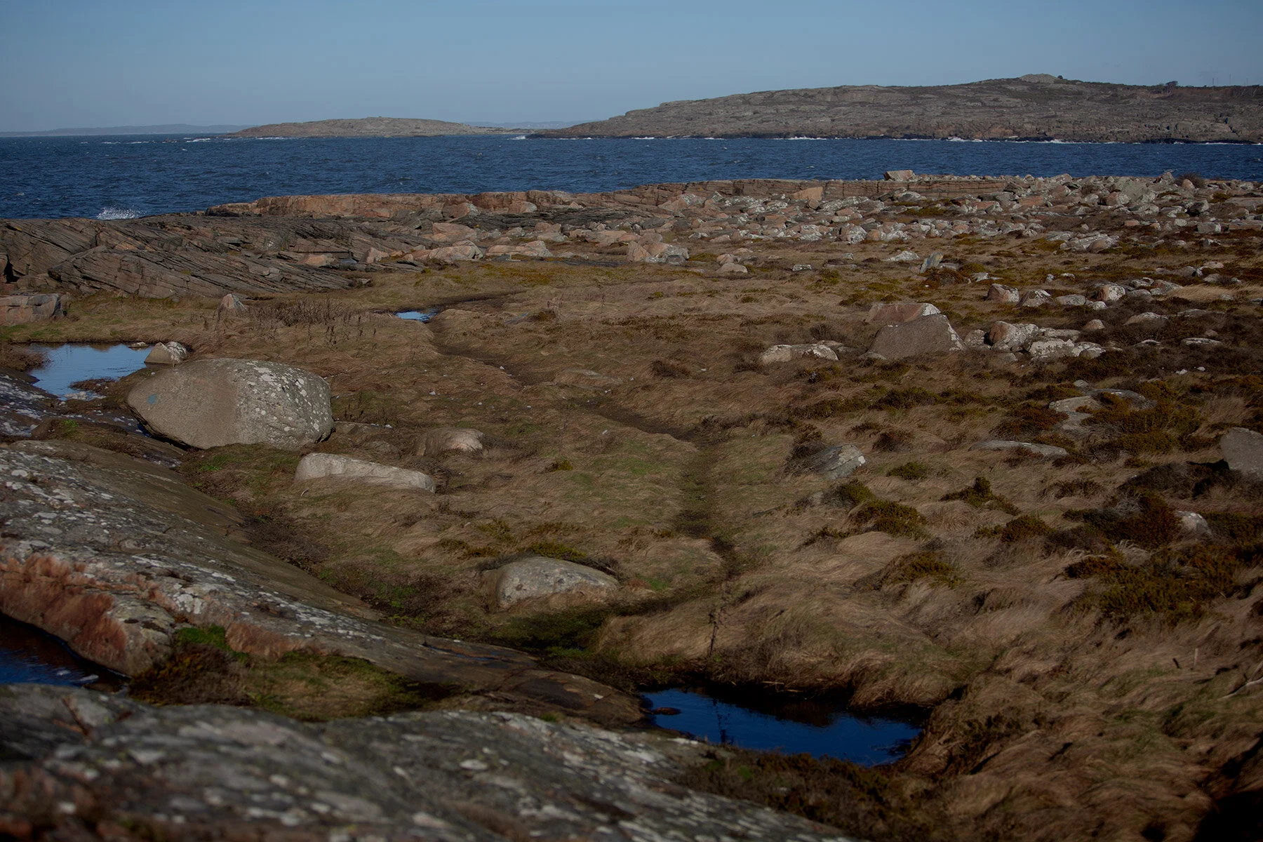 blogg-200213blapromenadenbua18.jpg
