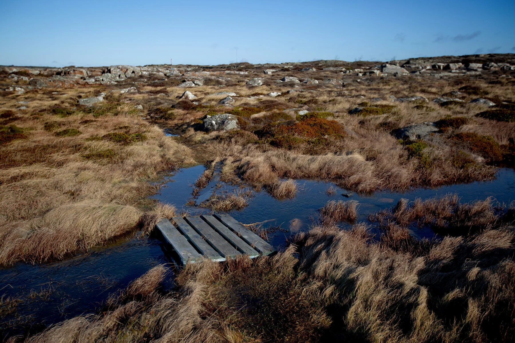 blogg-200213blapromenadenbua23.jpg