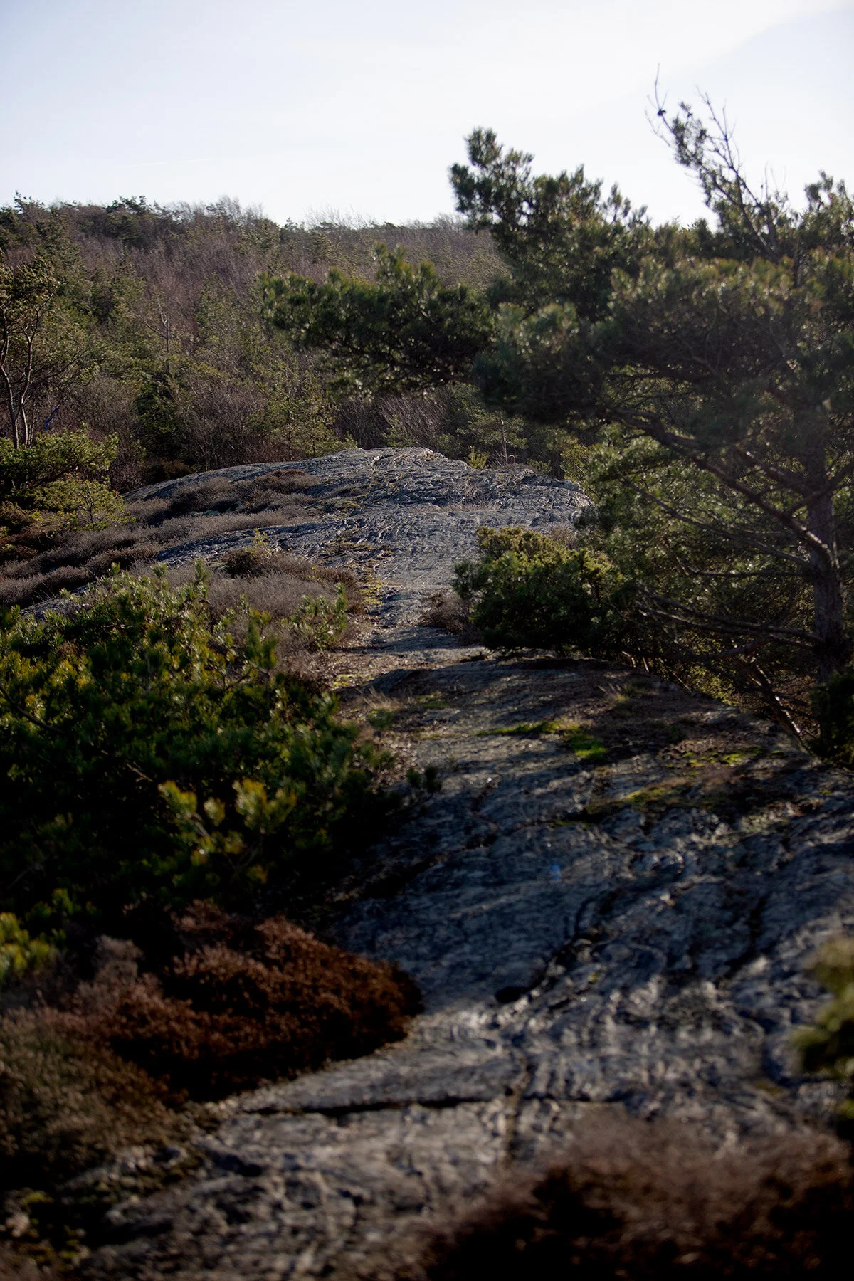 blogg-200213blapromenadenbua29.jpg