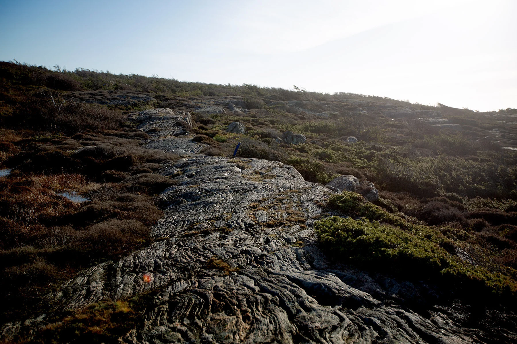blogg-200213blapromenadenbua27.jpg