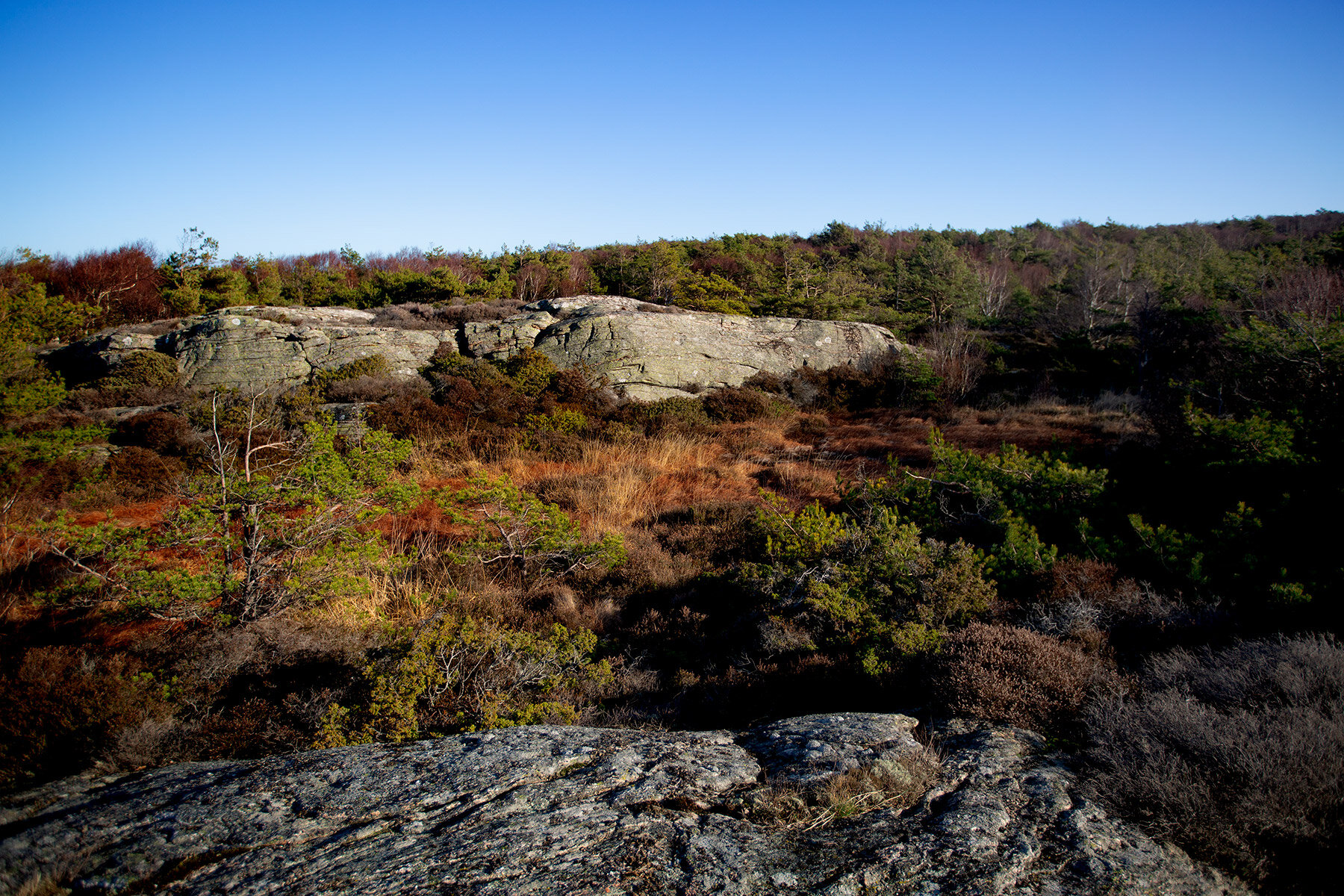 blogg-200213blapromenadenbua31.jpg