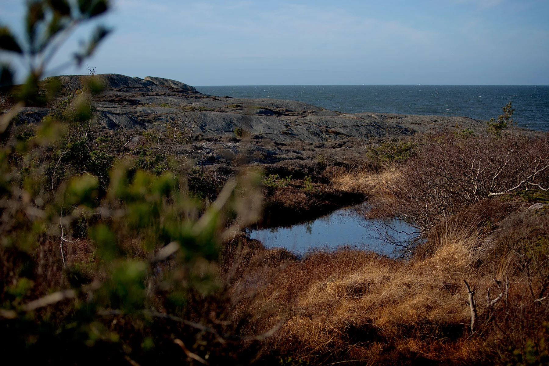 blogg-200213blapromenadenbua32.jpg