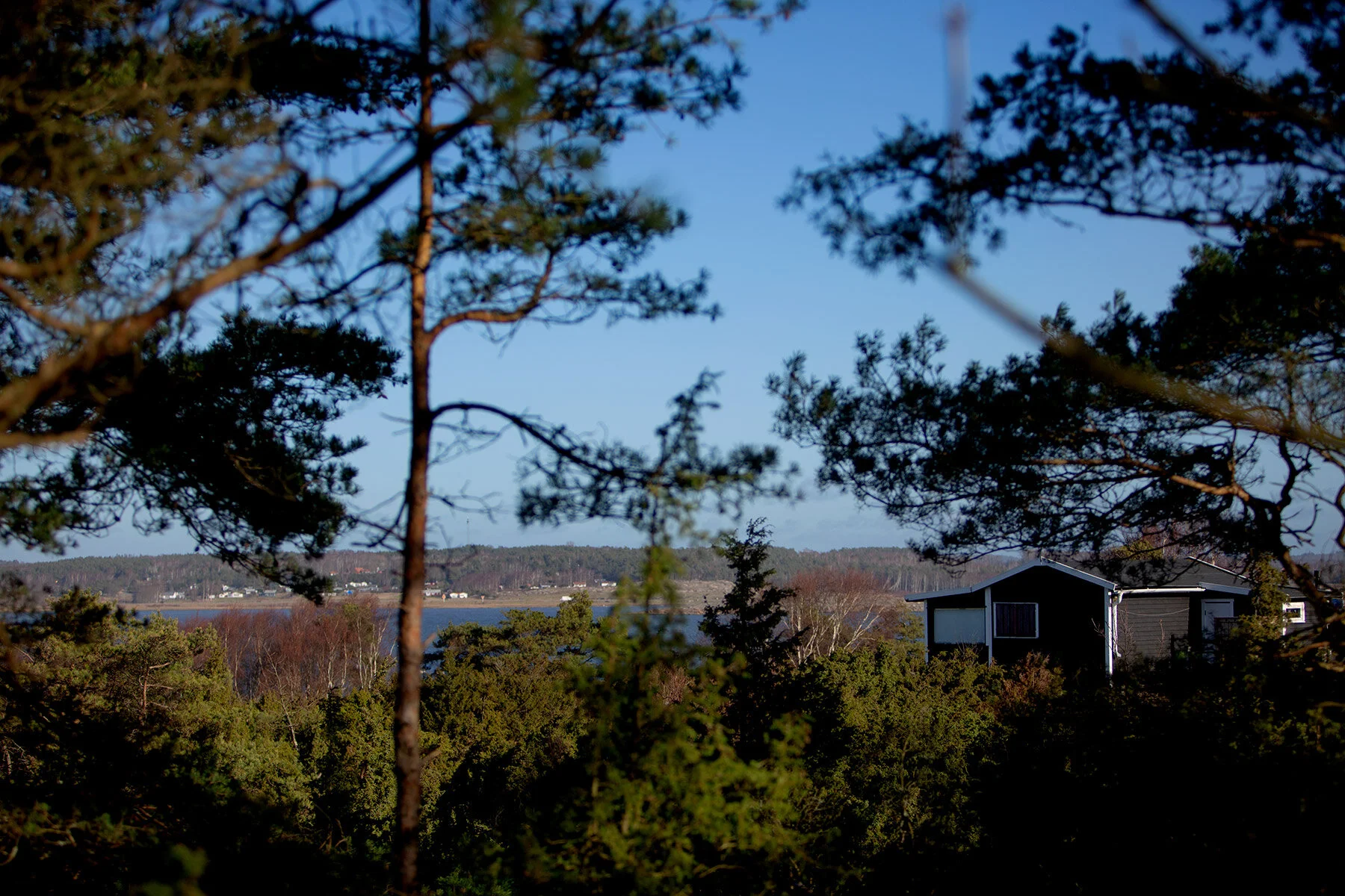 blogg-200213blapromenadenbua35.jpg