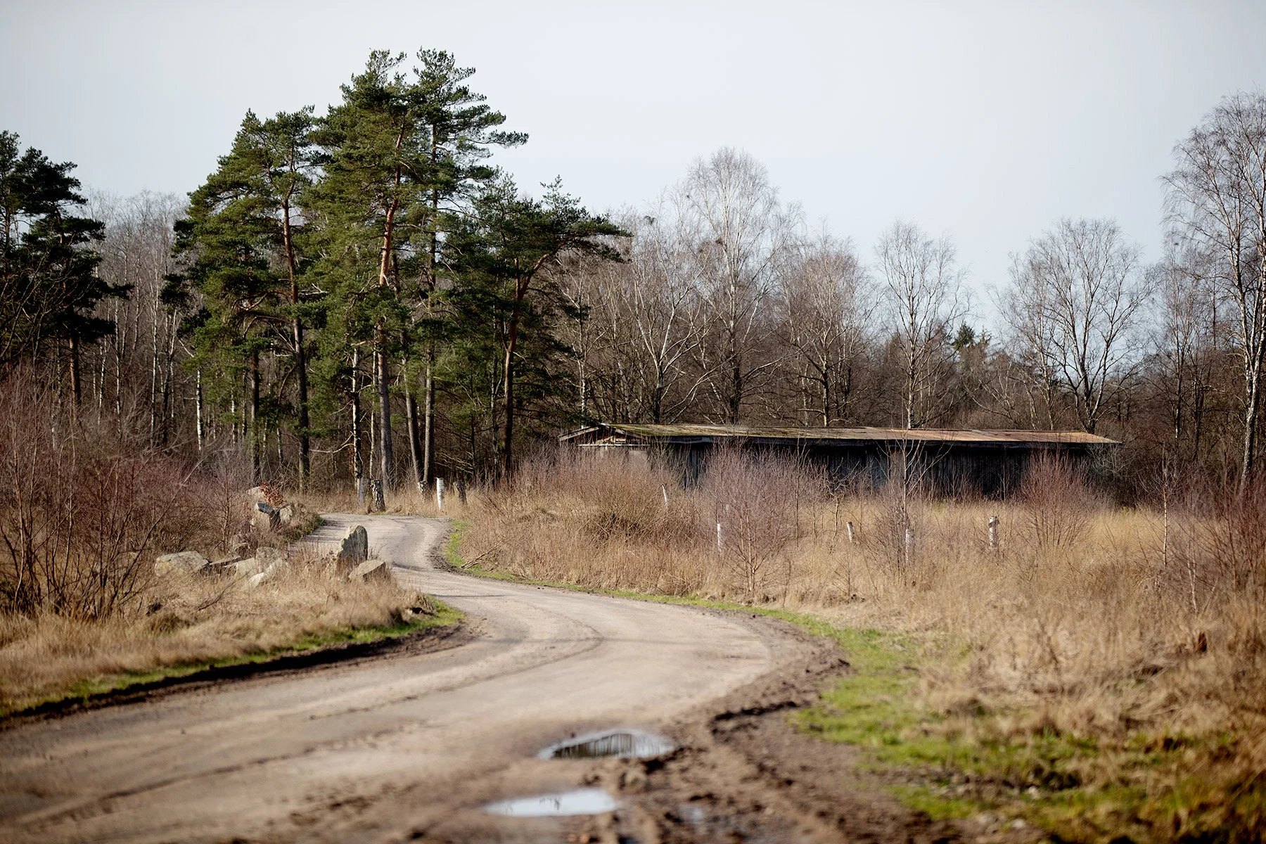 blogg-200224himlelekland7.jpg