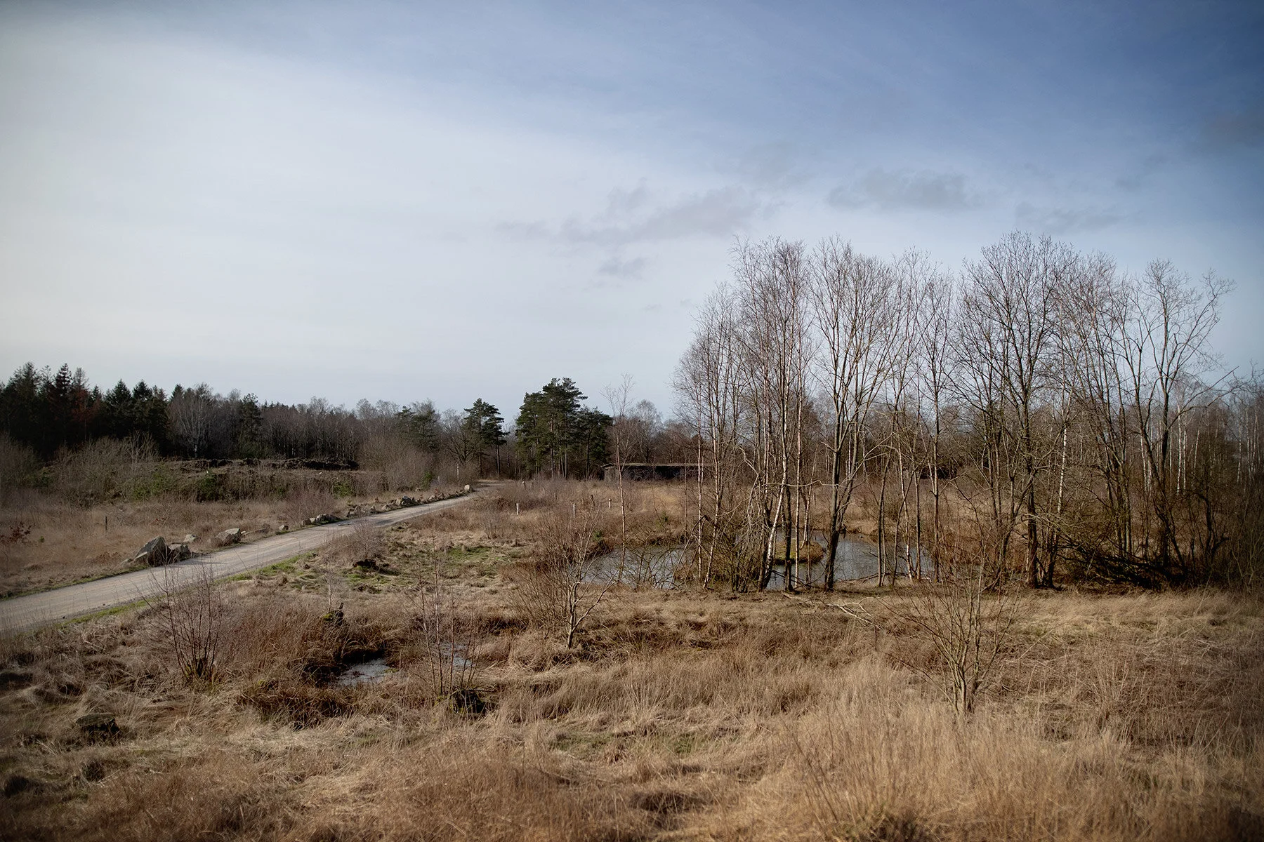 blogg-200224himlelekland16.jpg