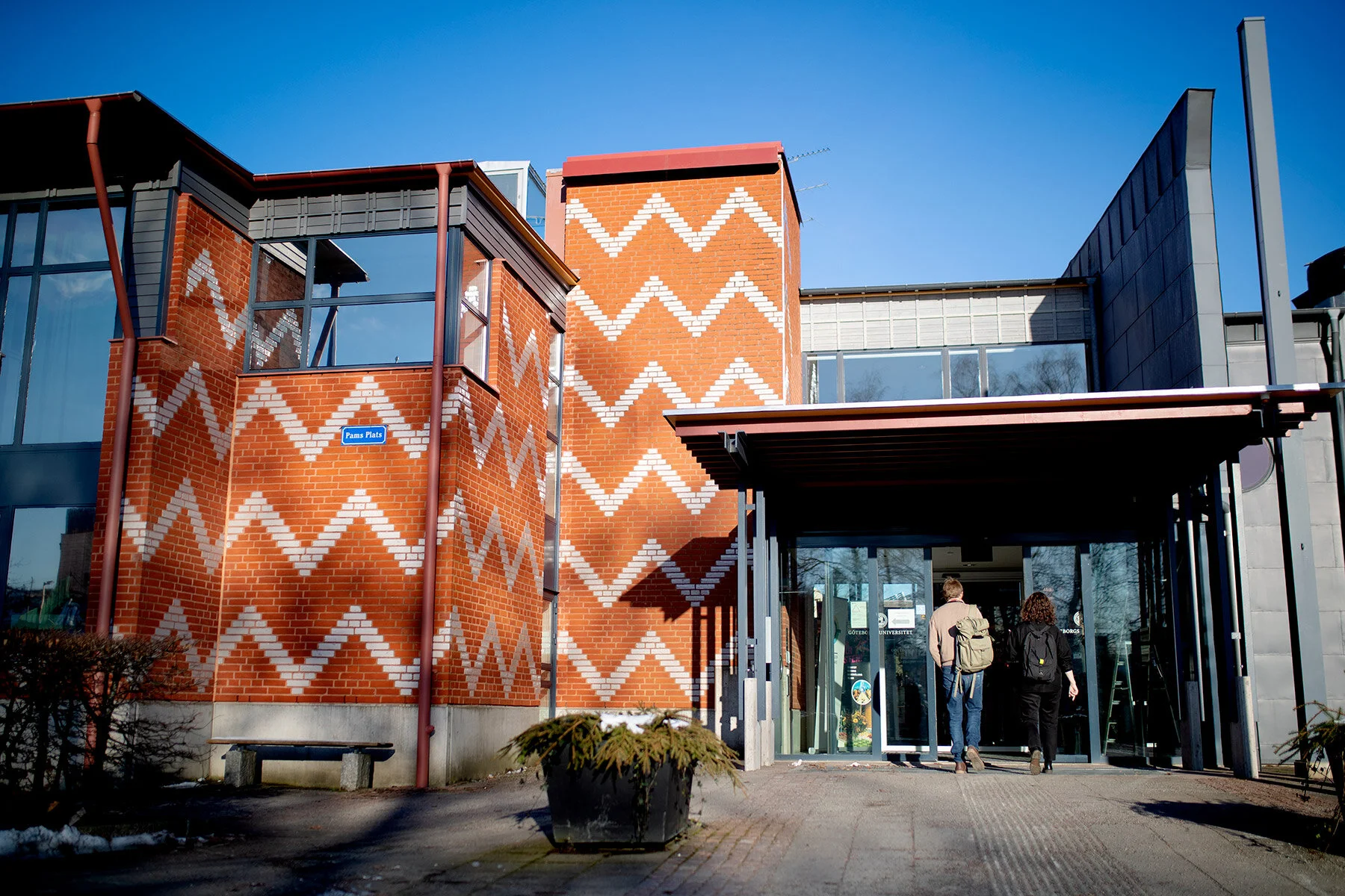 blogg-200227ungaforskare1.jpg
