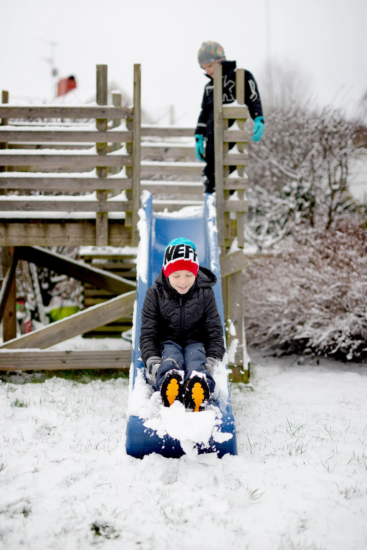 blogg-200228snotradgarden3.jpg