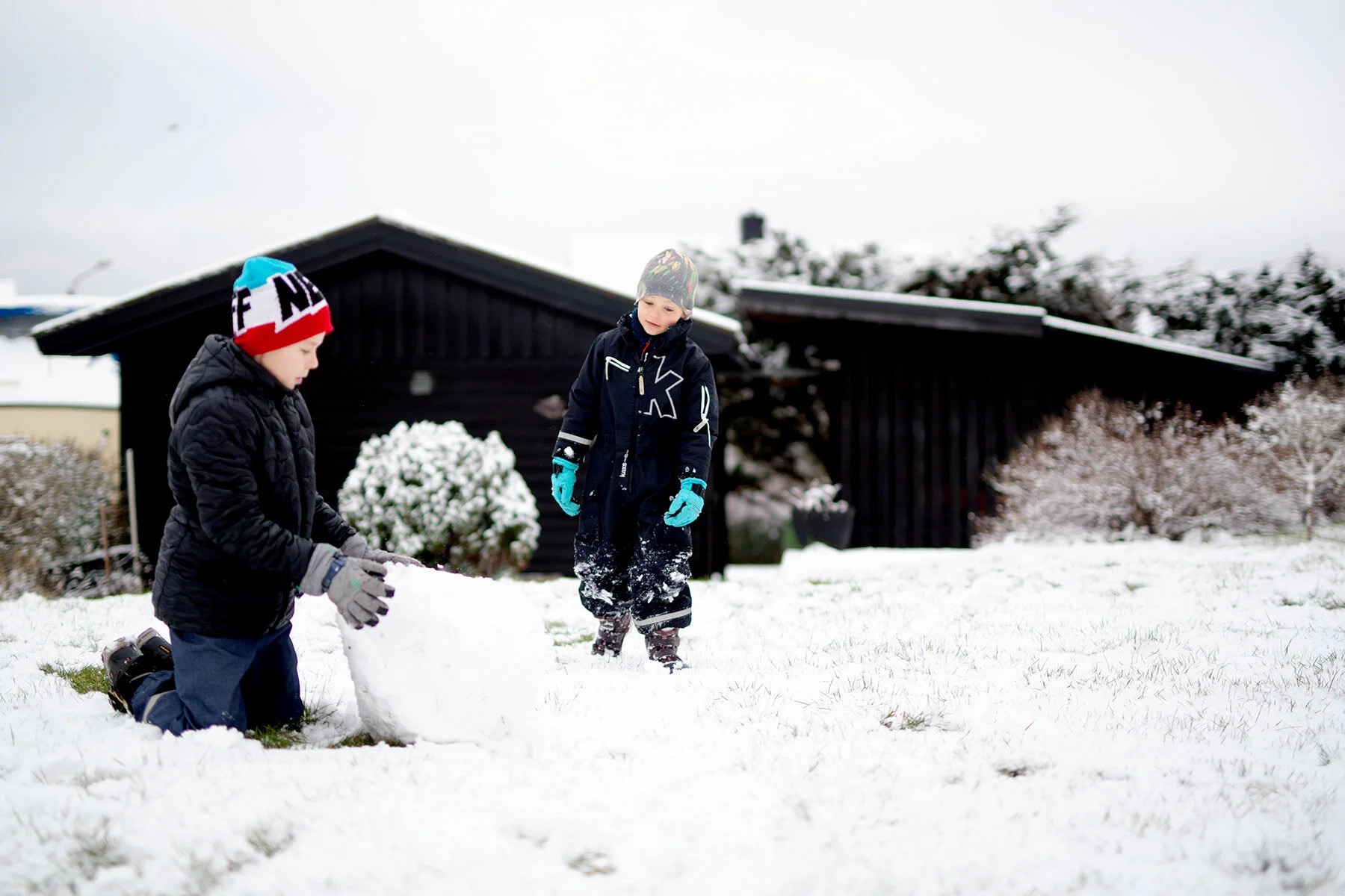 blogg-200228snotradgarden8.jpg