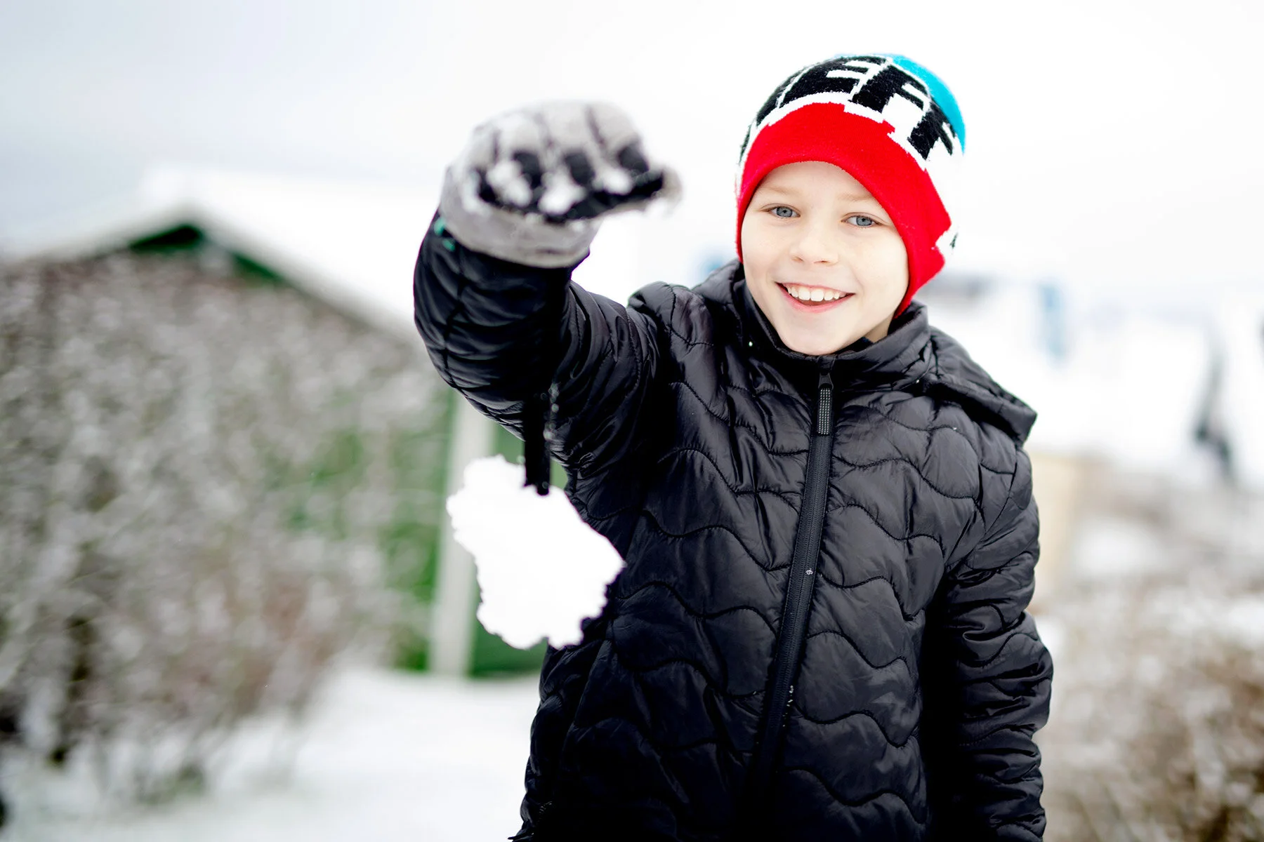 blogg-200228snotradgarden7.jpg