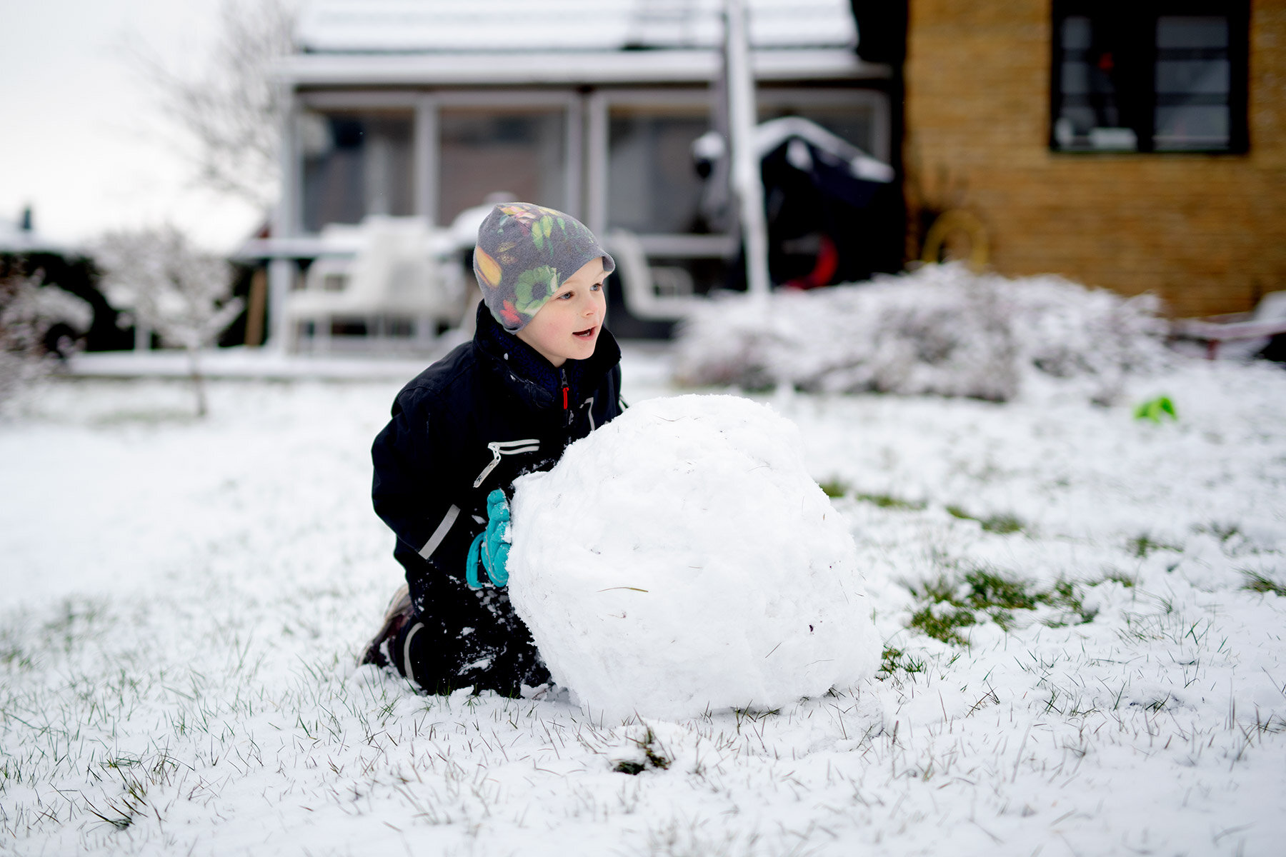 blogg-200228snotradgarden16.jpg