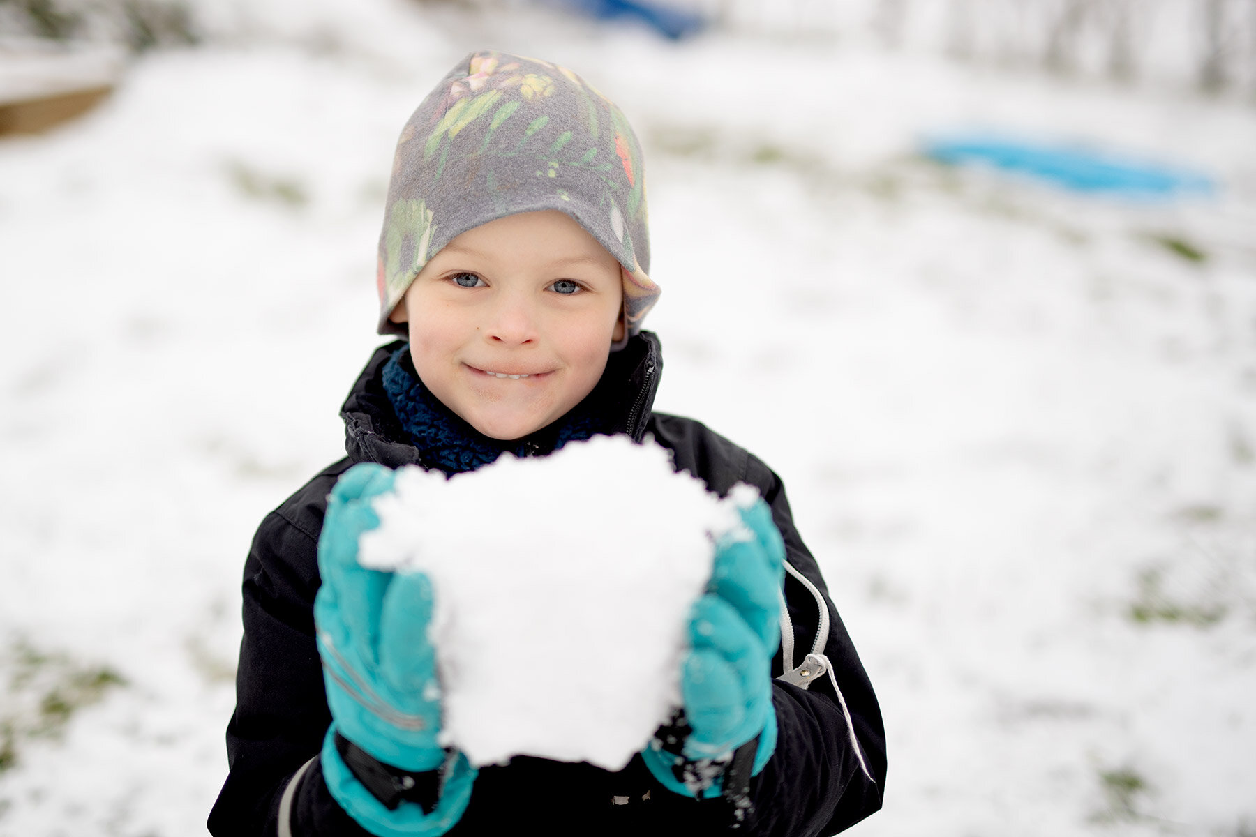 blogg-200228snotradgarden18.jpg