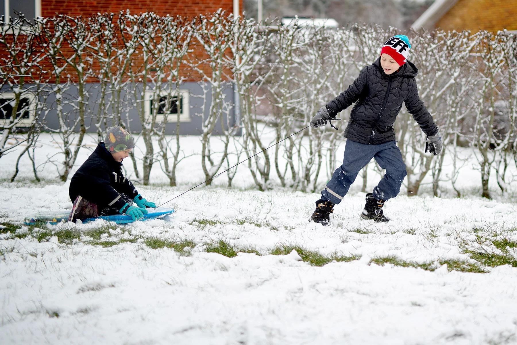 blogg-200228snotradgarden19.jpg