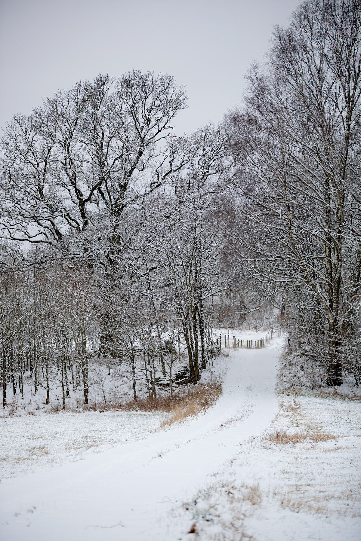 blogg-200228snoveddigebacke1.jpg