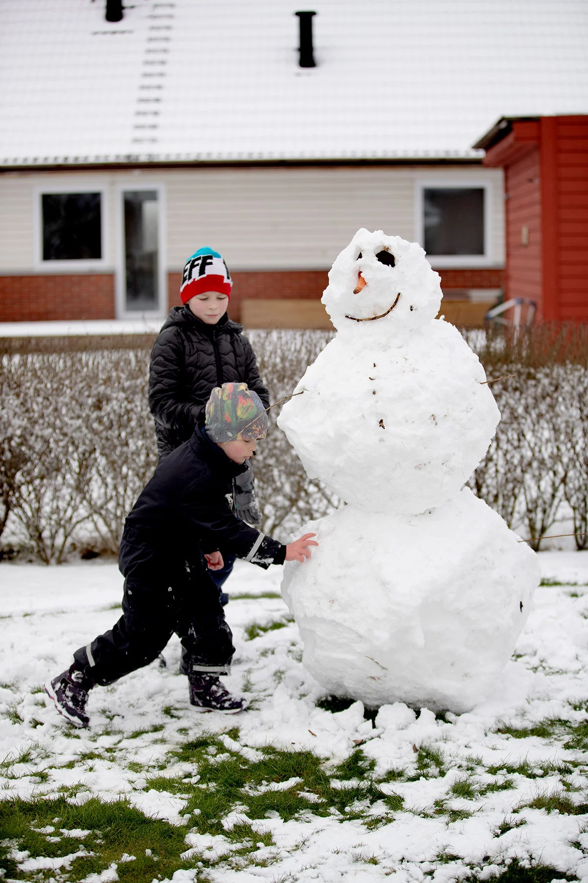blogg-200228snoveddigetradgard3.jpg
