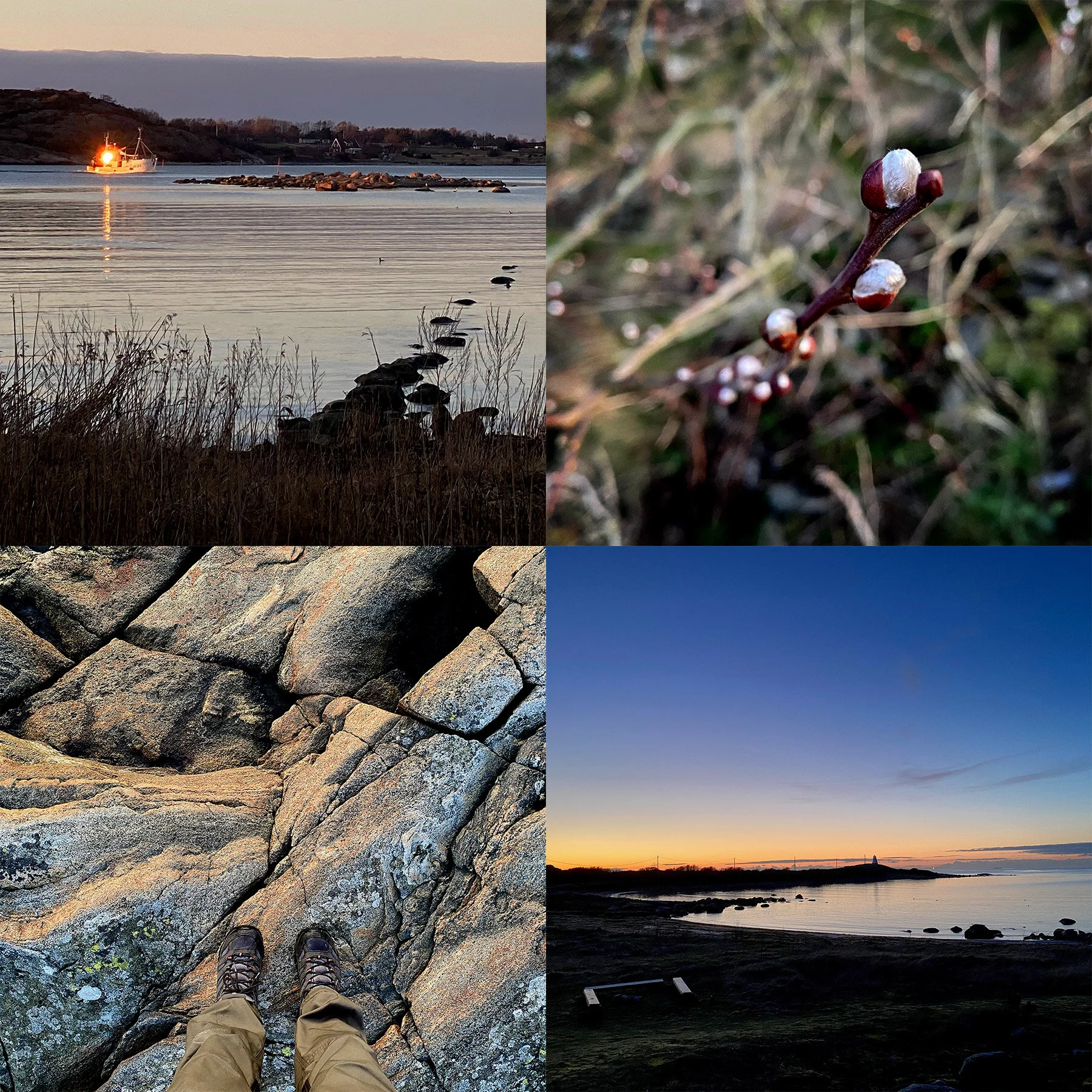 Kvällspromenad