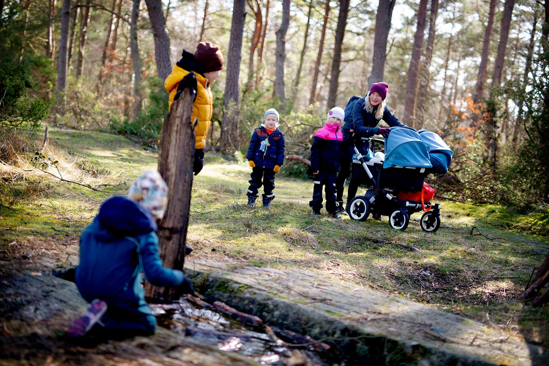 blogg-200319skogenmedalex5.jpg
